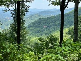 Maggie Valley, NC 28751,C76 Amanugi TRL #C76