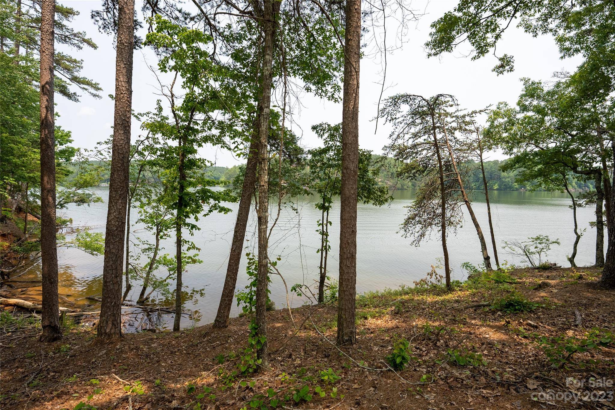 Connelly Springs, NC 28612,Lot 74 Decker RD