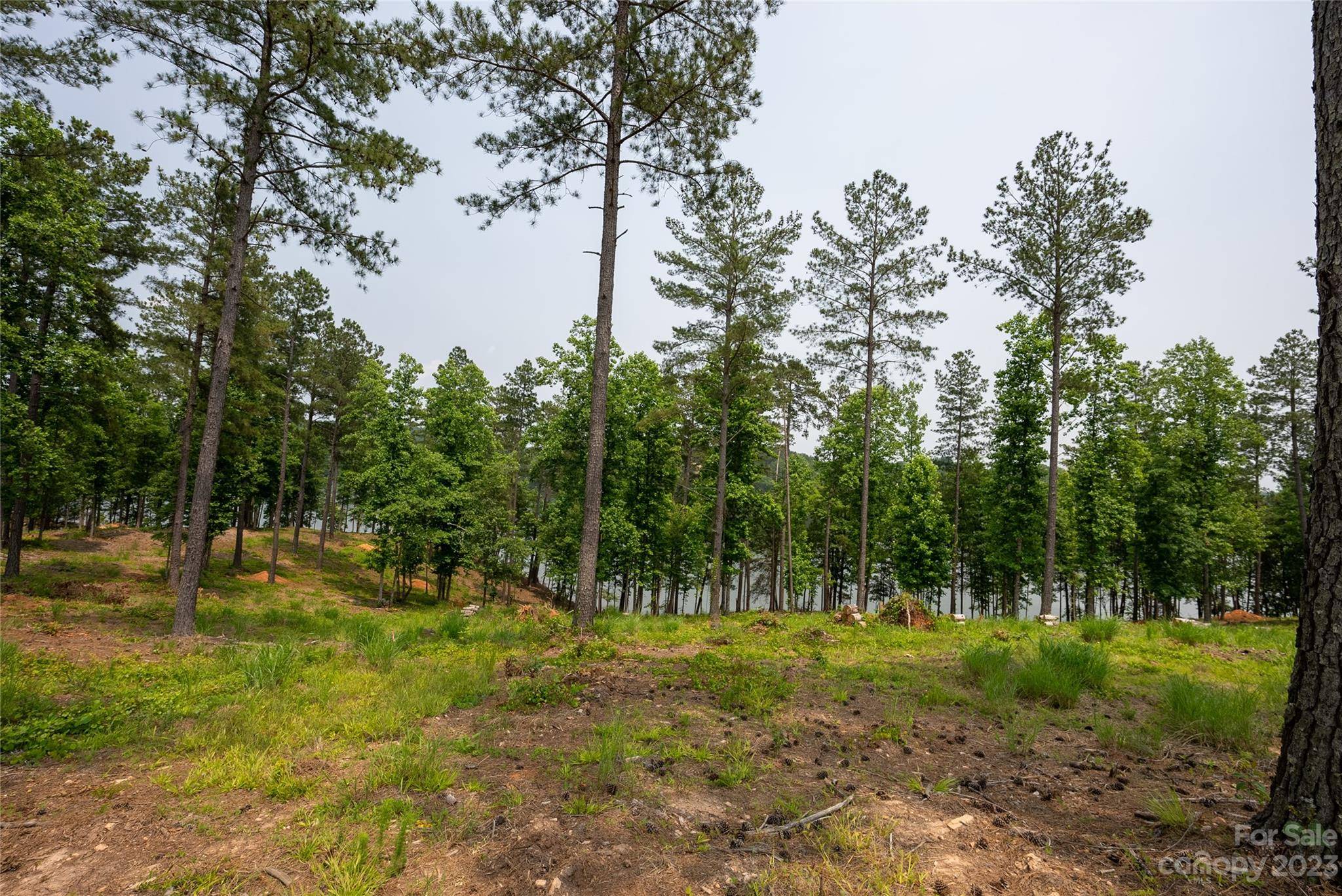 Connelly Springs, NC 28612,Lot 74 Decker RD