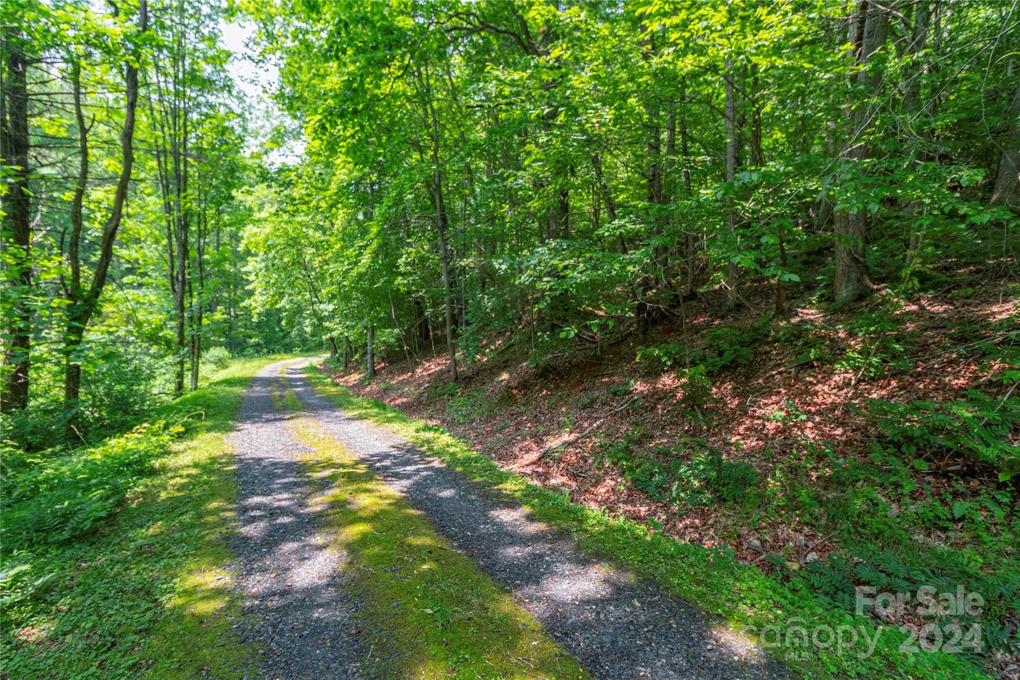 Green Mountain, NC 28740,00 Baccus Siding RD