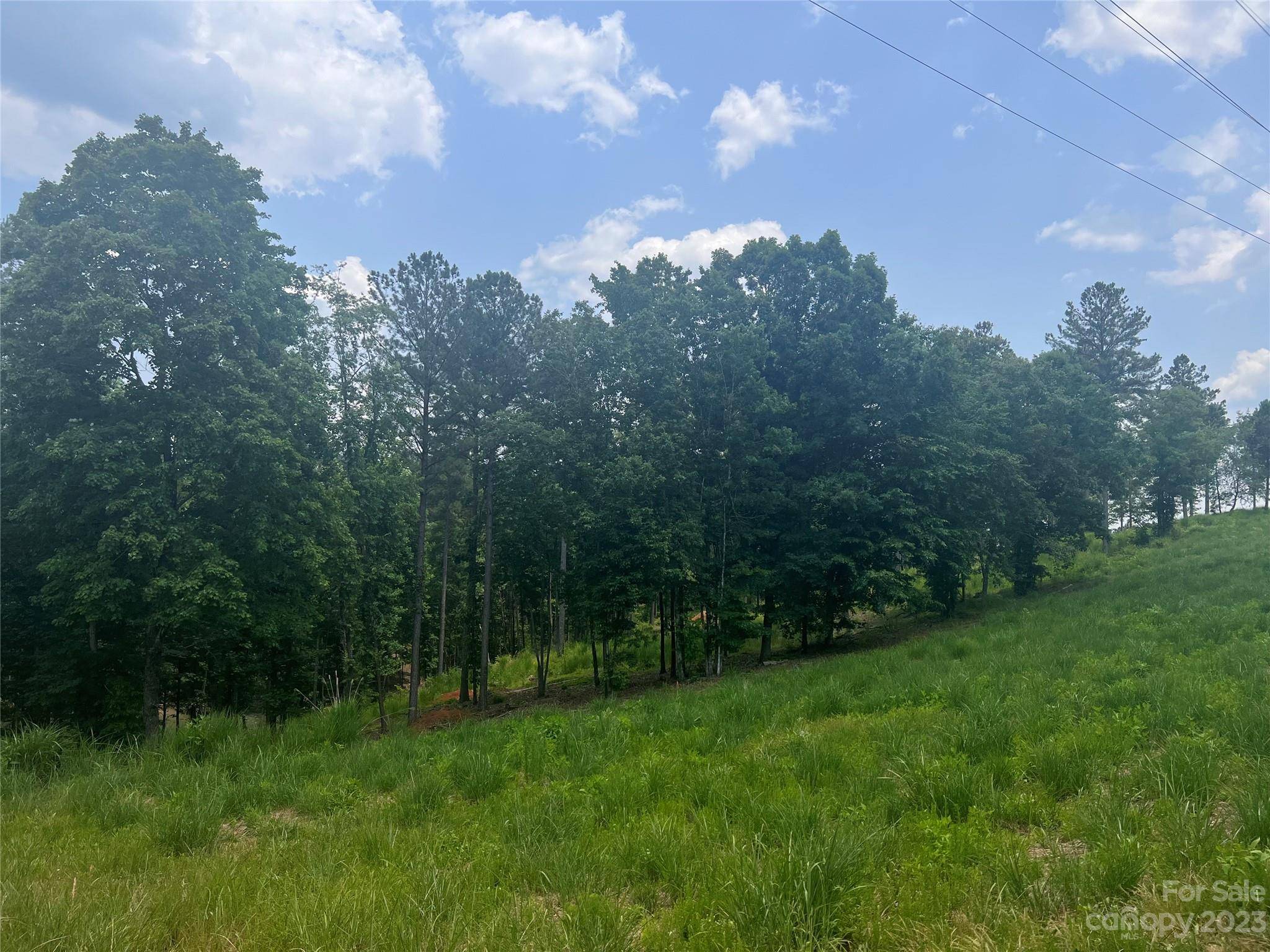 Connelly Springs, NC 28612,Lot 111 Decker RD