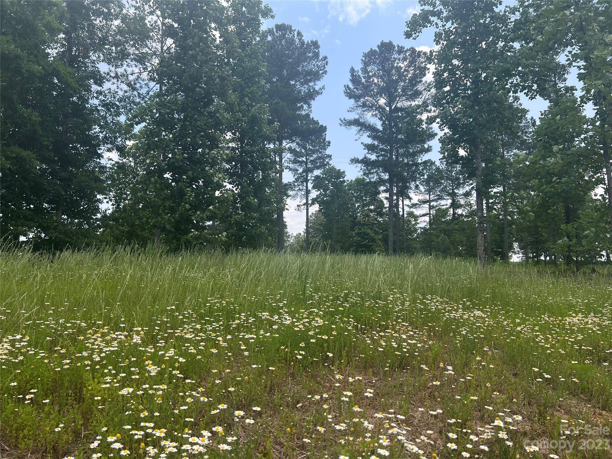 Connelly Springs, NC 28612,Lot 111 Decker RD