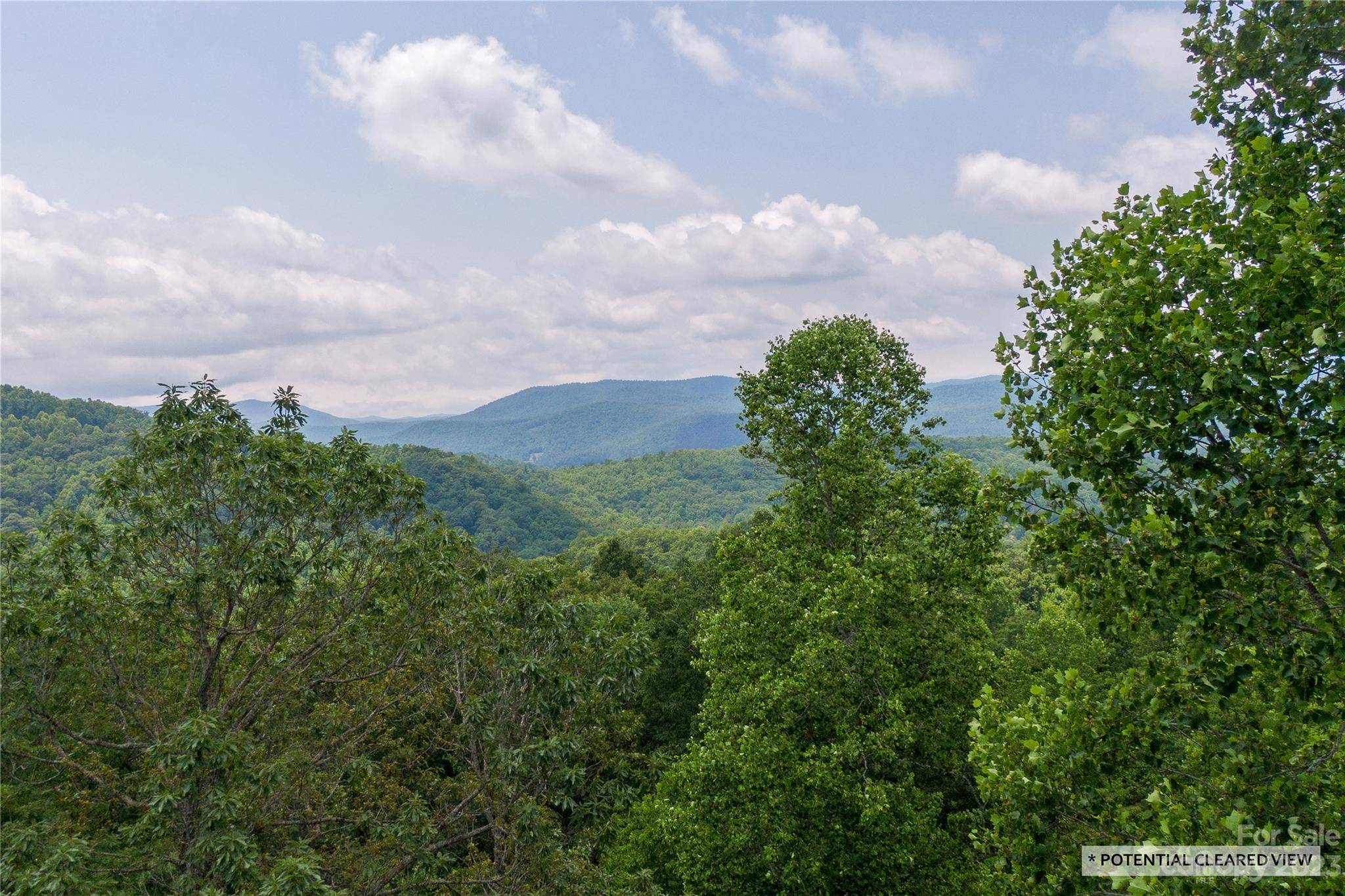 Laurel Park, NC 28739,100 Ivywood LN