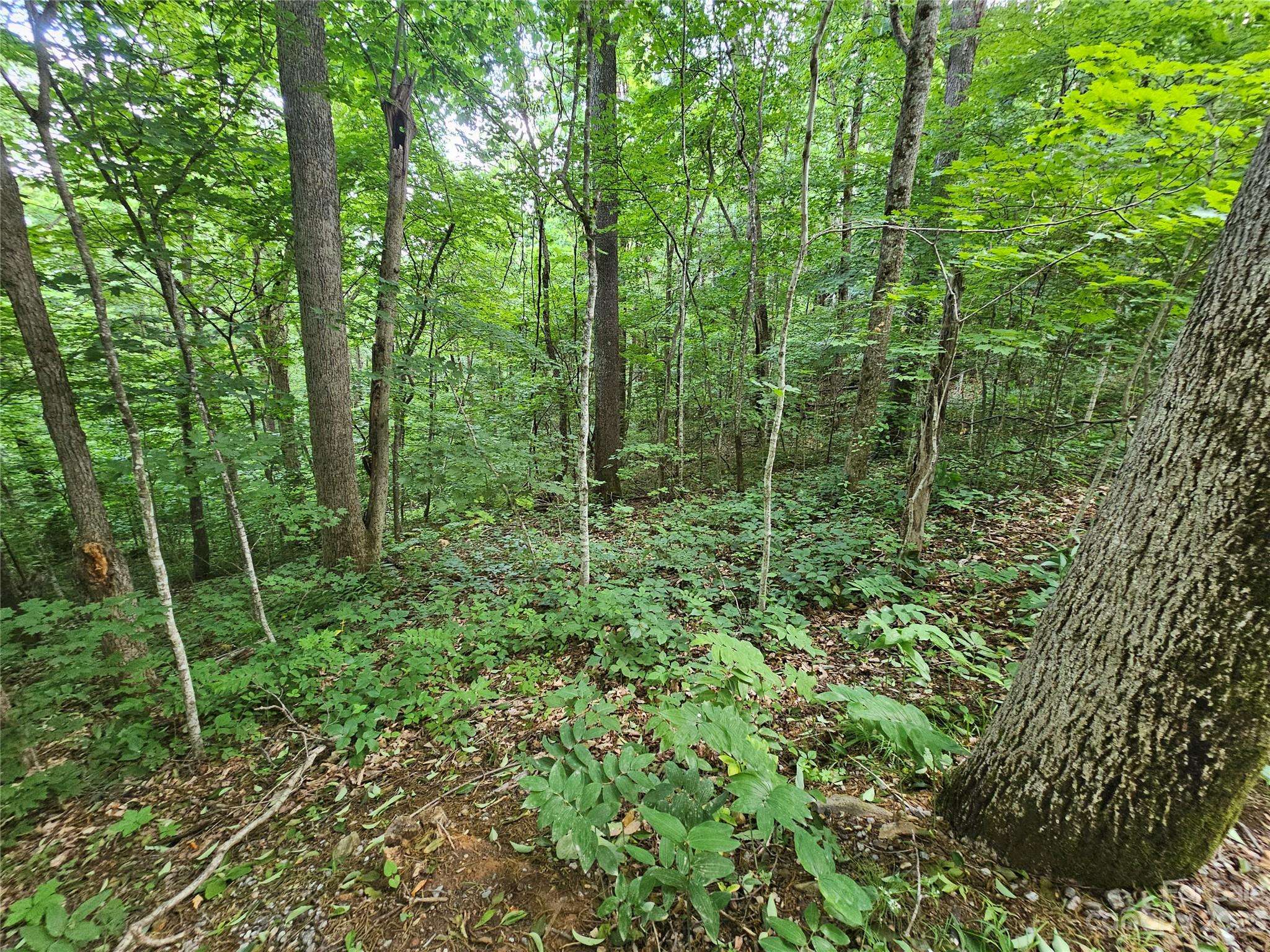 Waynesville, NC 28786,Lot 21 Springbrook Farm RD