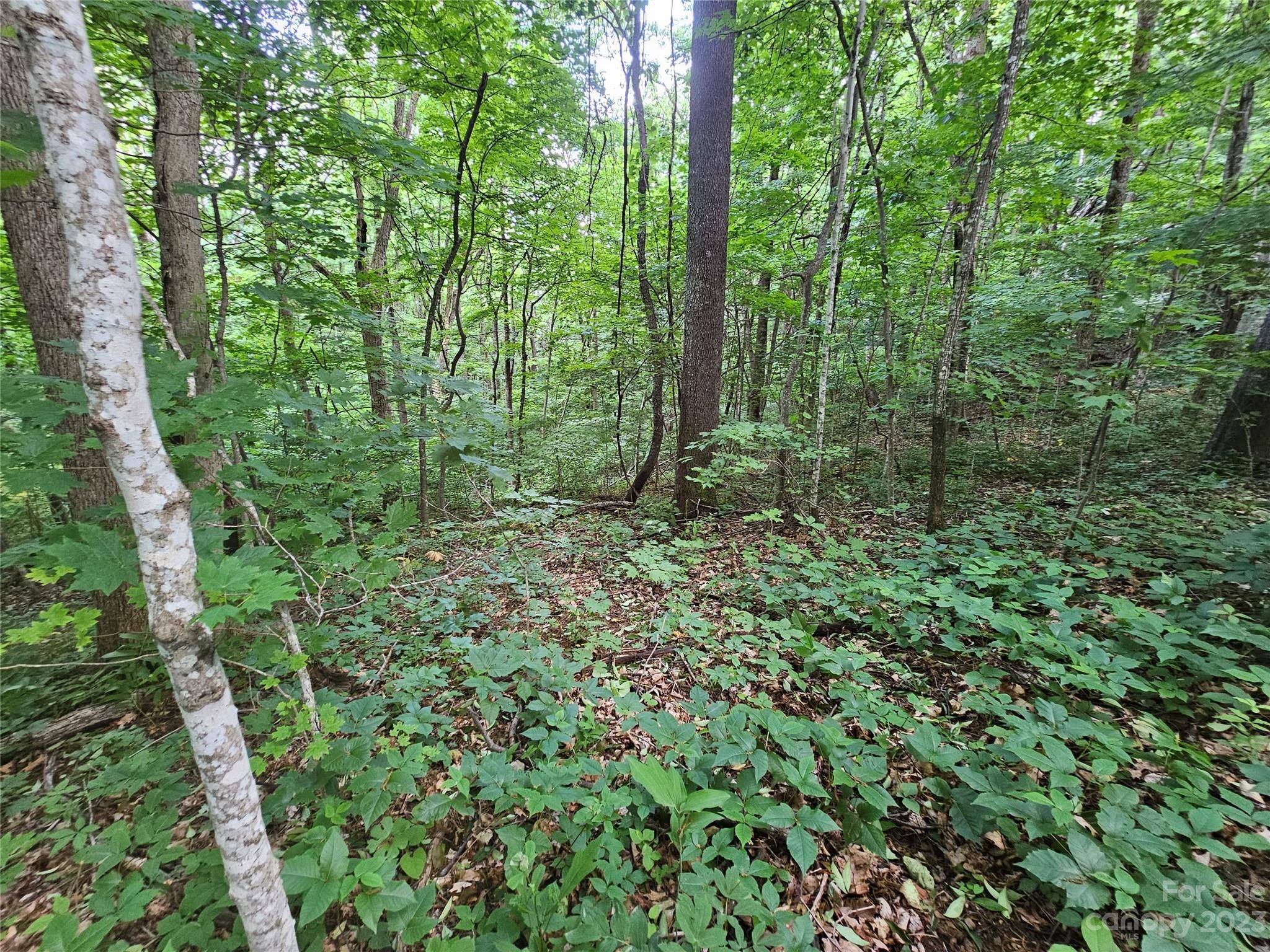 Waynesville, NC 28786,Lot 21 Springbrook Farm RD