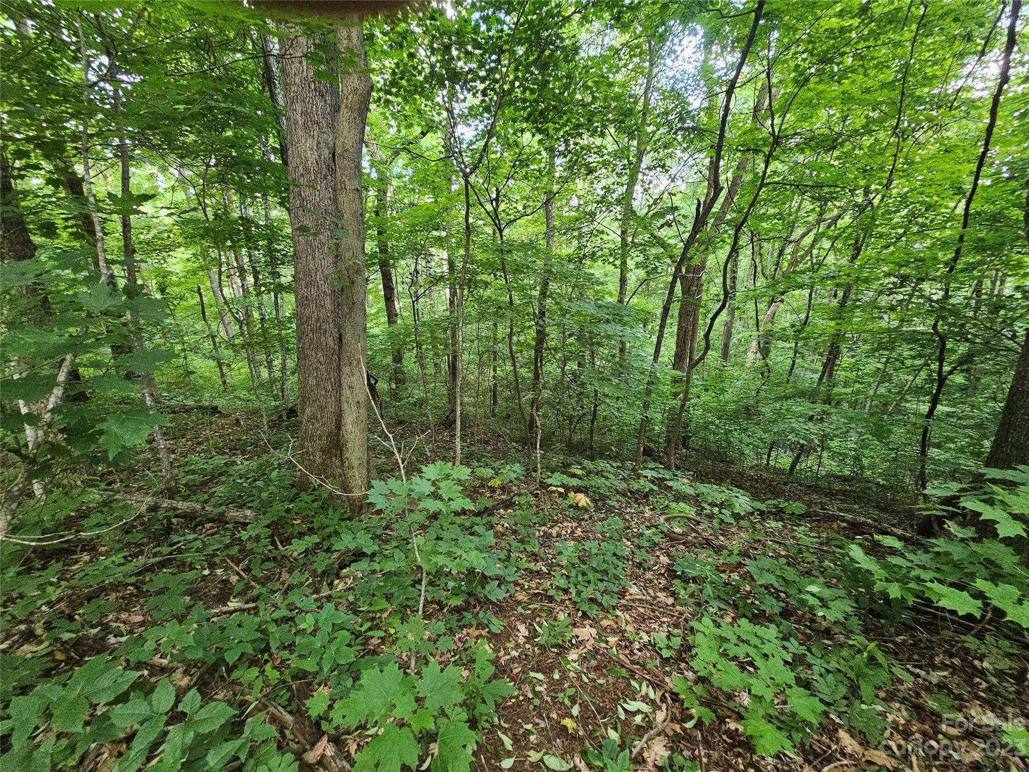 Waynesville, NC 28786,Lot 21 Springbrook Farm RD