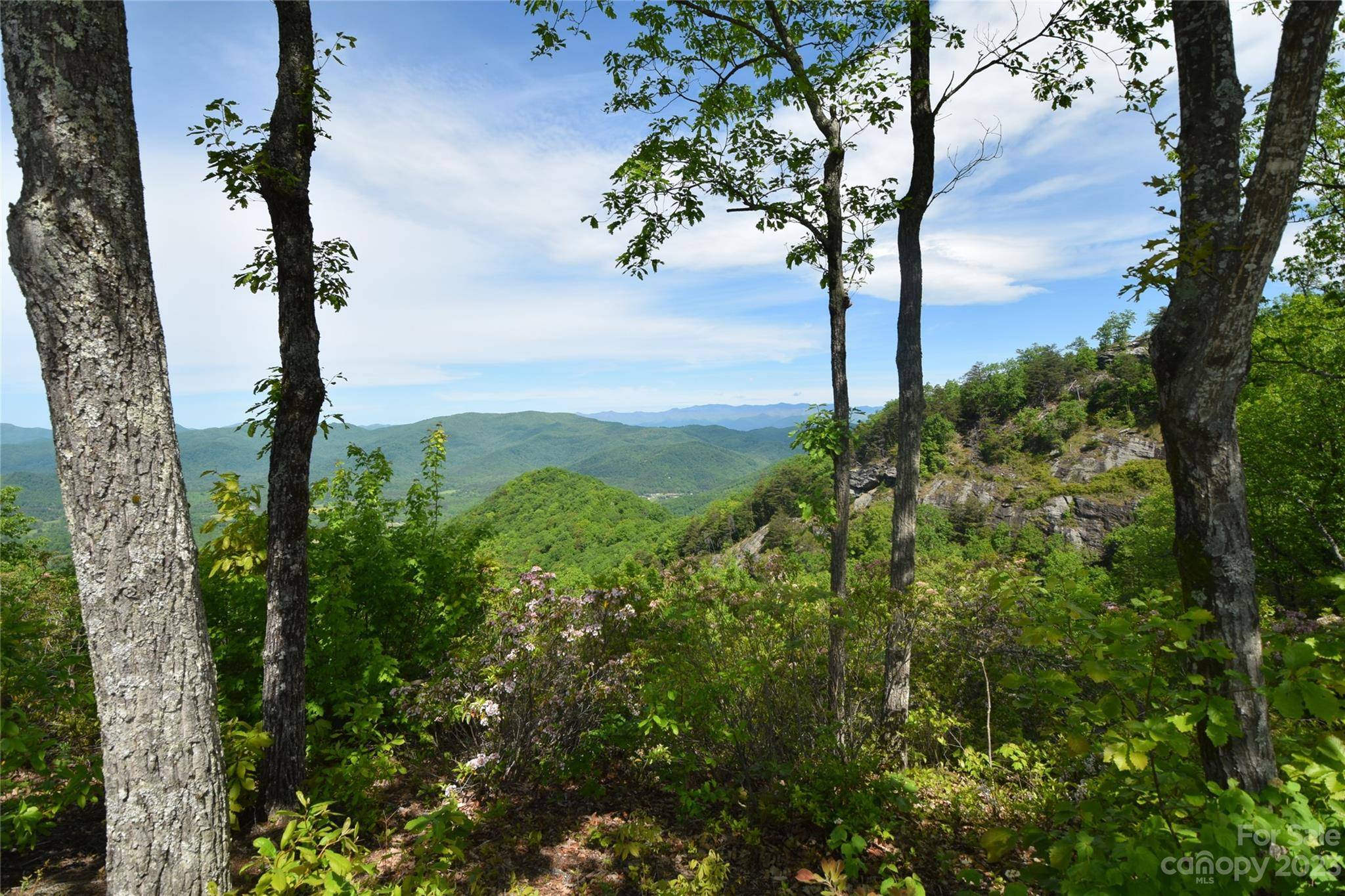 Union Mills, NC 28167,94 Devin Ridge LN