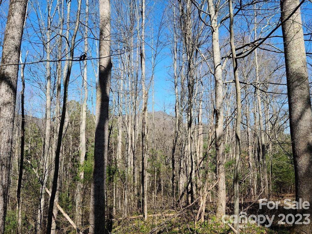 Waynesville, NC 28785,000 Harleys Cove RD #Lot 21