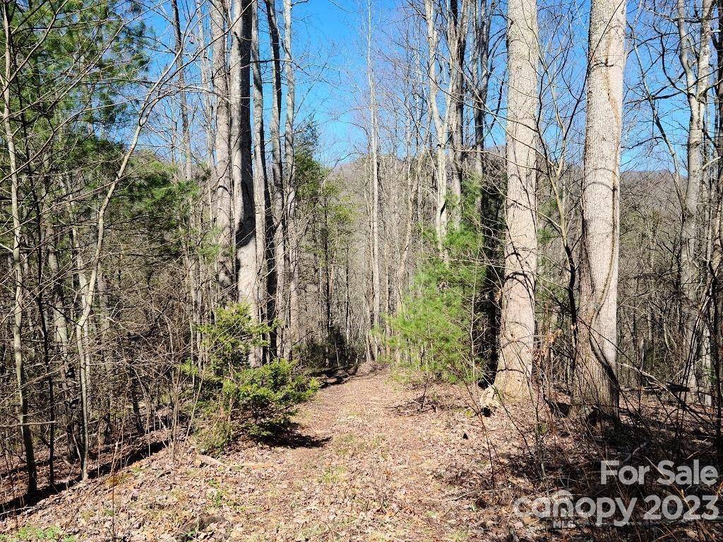 Waynesville, NC 28785,000 Harleys Cove RD #Lot 21