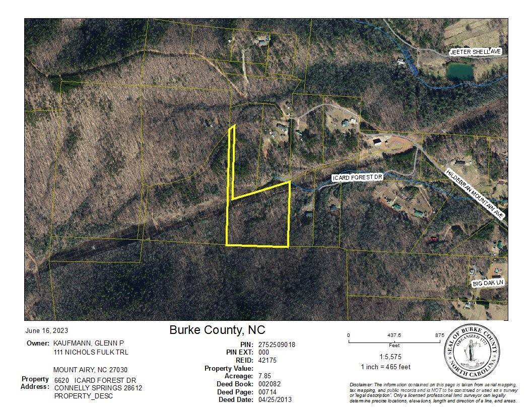 Connelly Springs, NC 28612,6620 Icard Forest DR