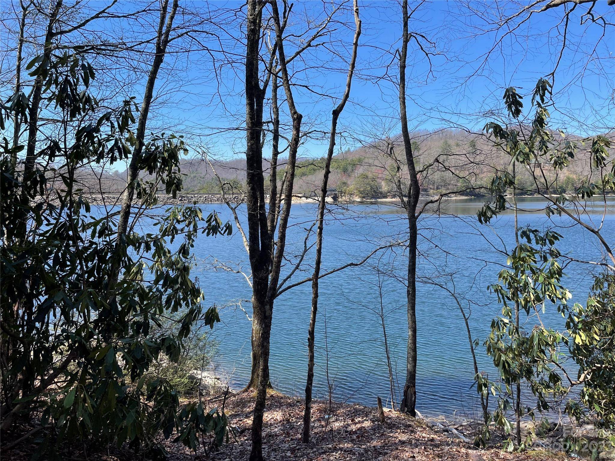 Tuckasegee, NC 28783,00 Vess Owen RD