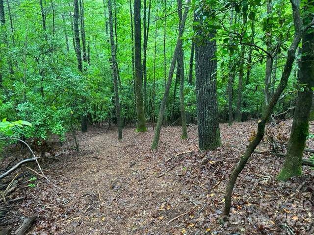 Pisgah Forest, NC 28768,TBD Cherrywood LN #L-12