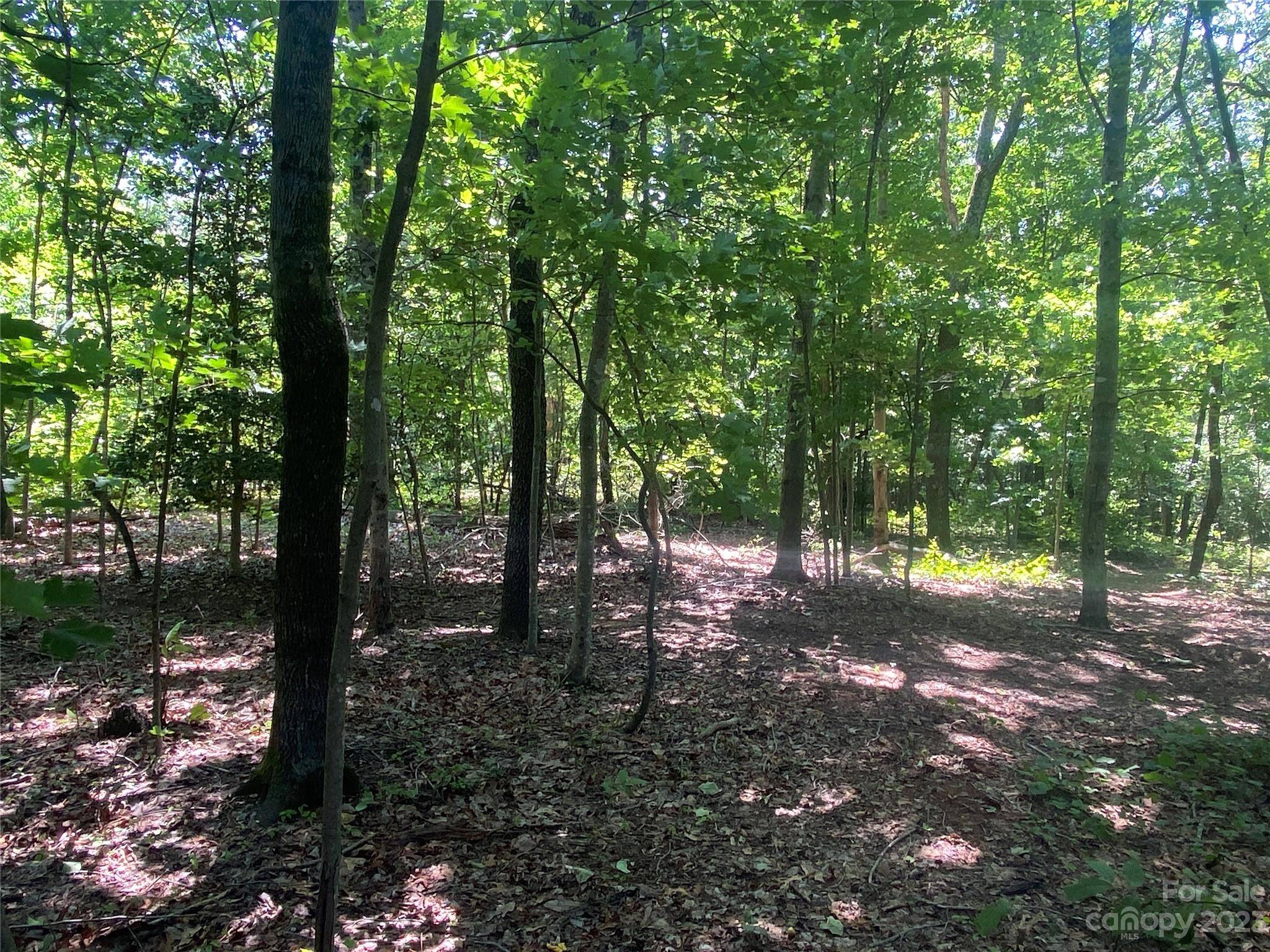 Connelly Springs, NC 28612,00 Talmon ST