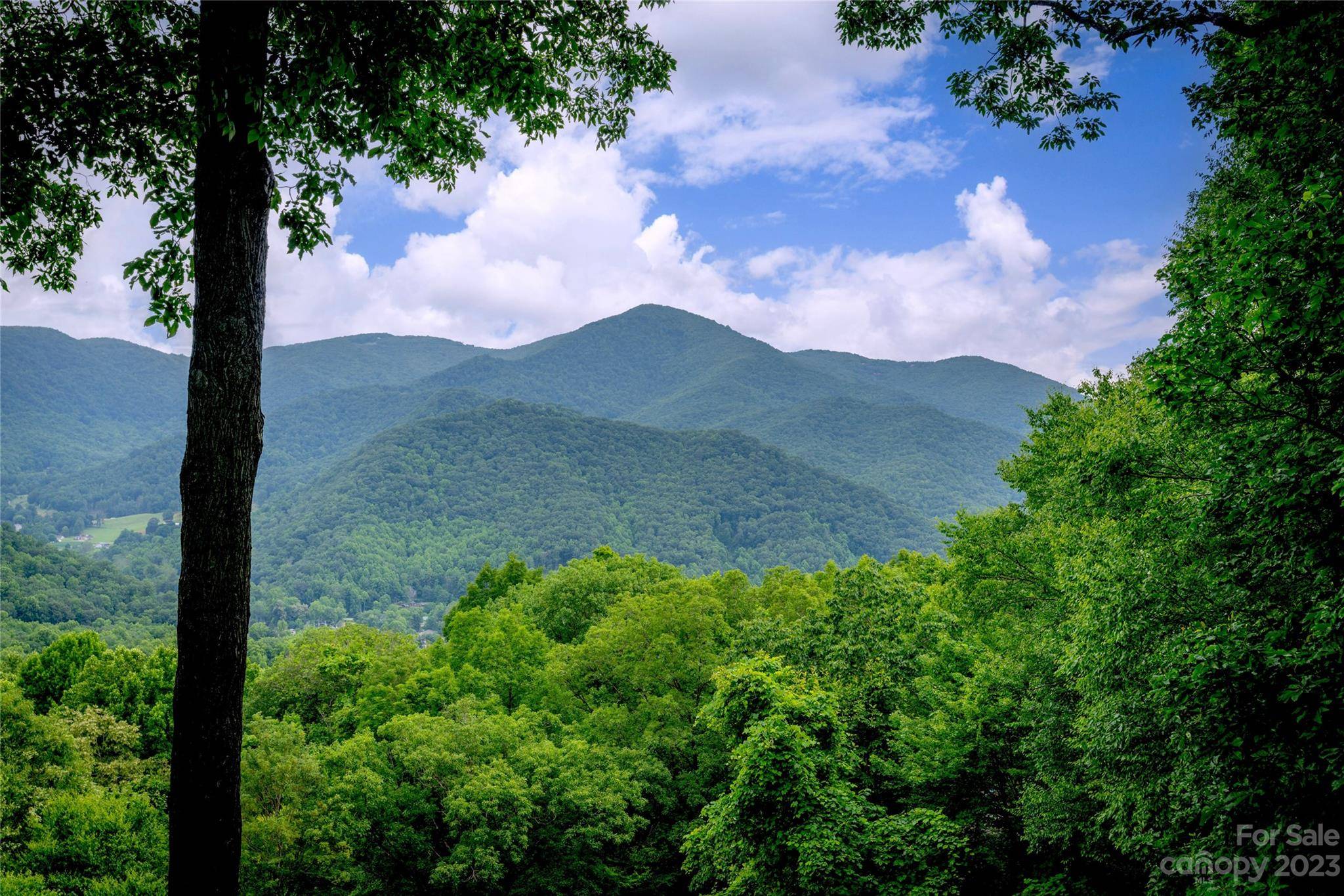 Maggie Valley, NC 28751,198 Wildcat RUN