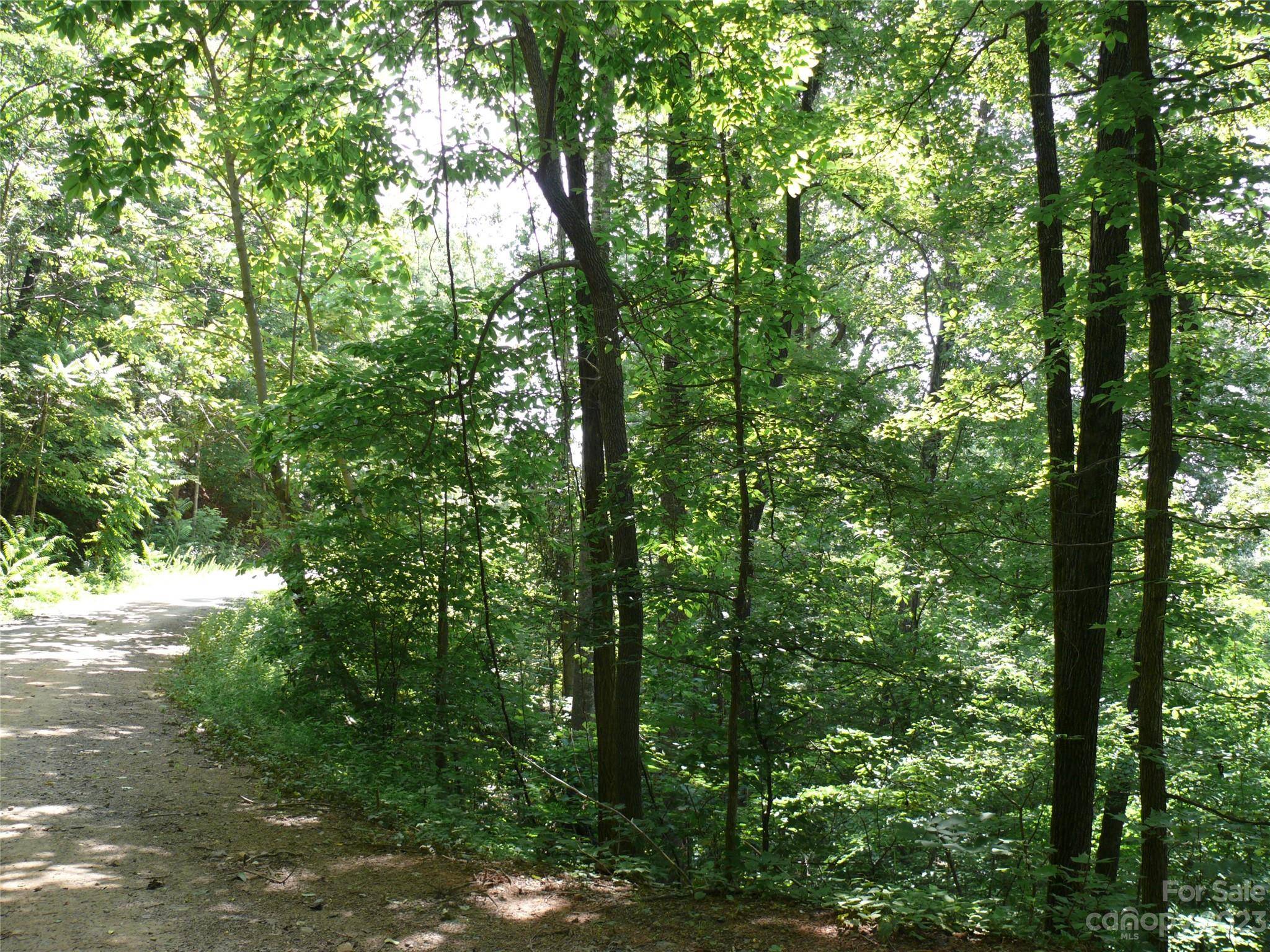 Lake Lure, NC 28746,LOT 426 Roberts TRL