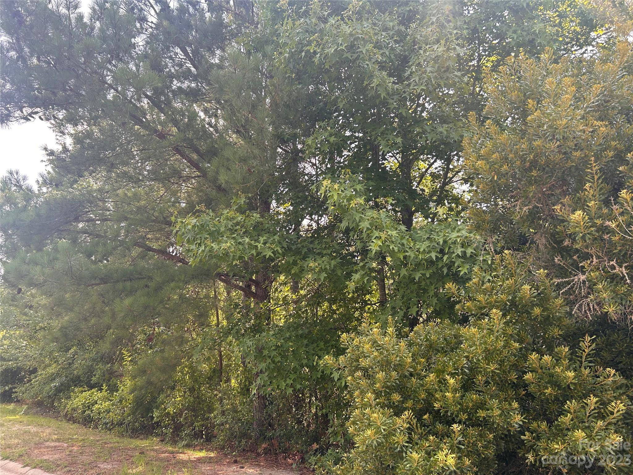 Elgin, SC 29045,62 Choctaw CIR #6