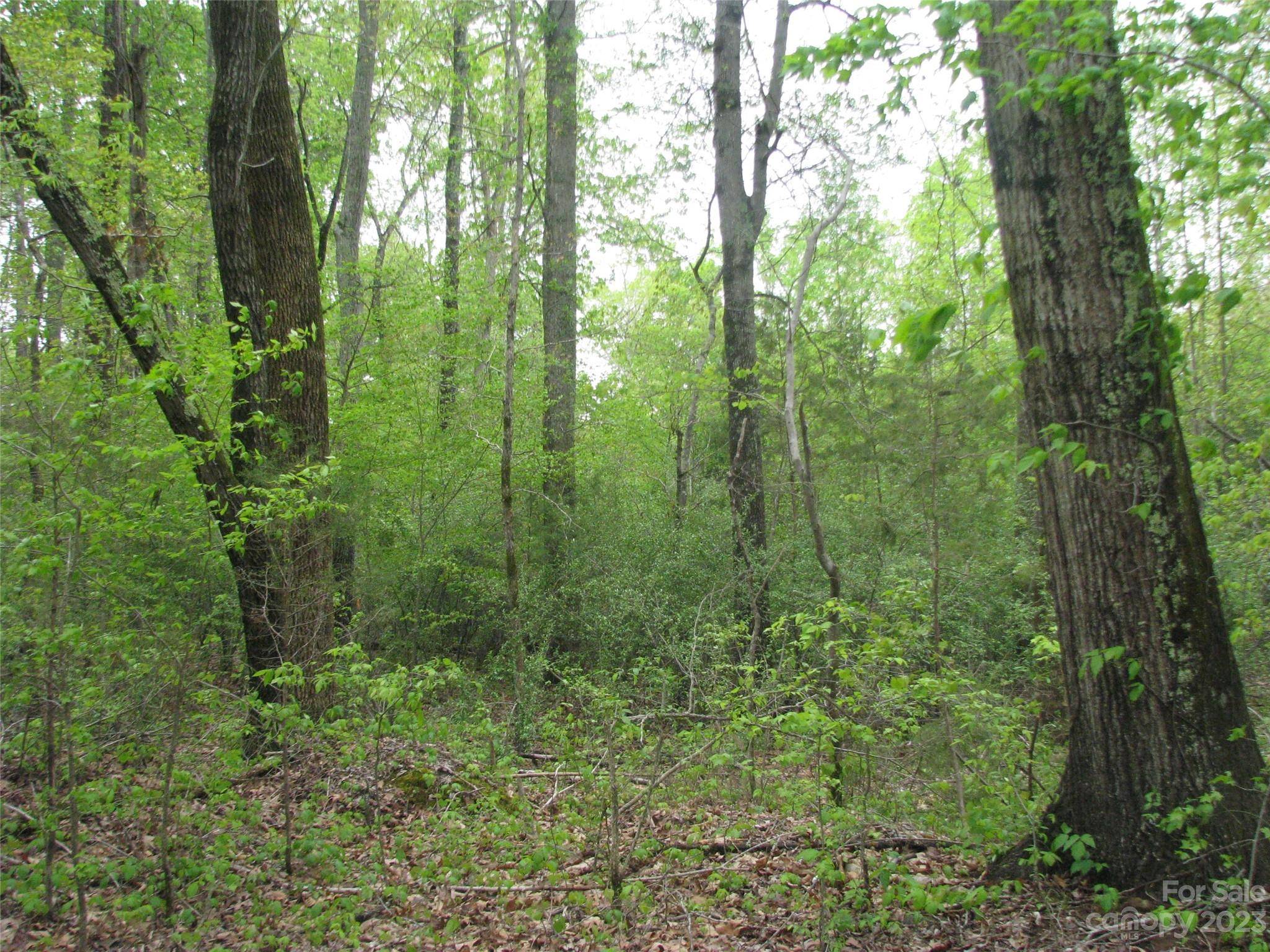 Clover, SC 29710,558 Akinbac RD