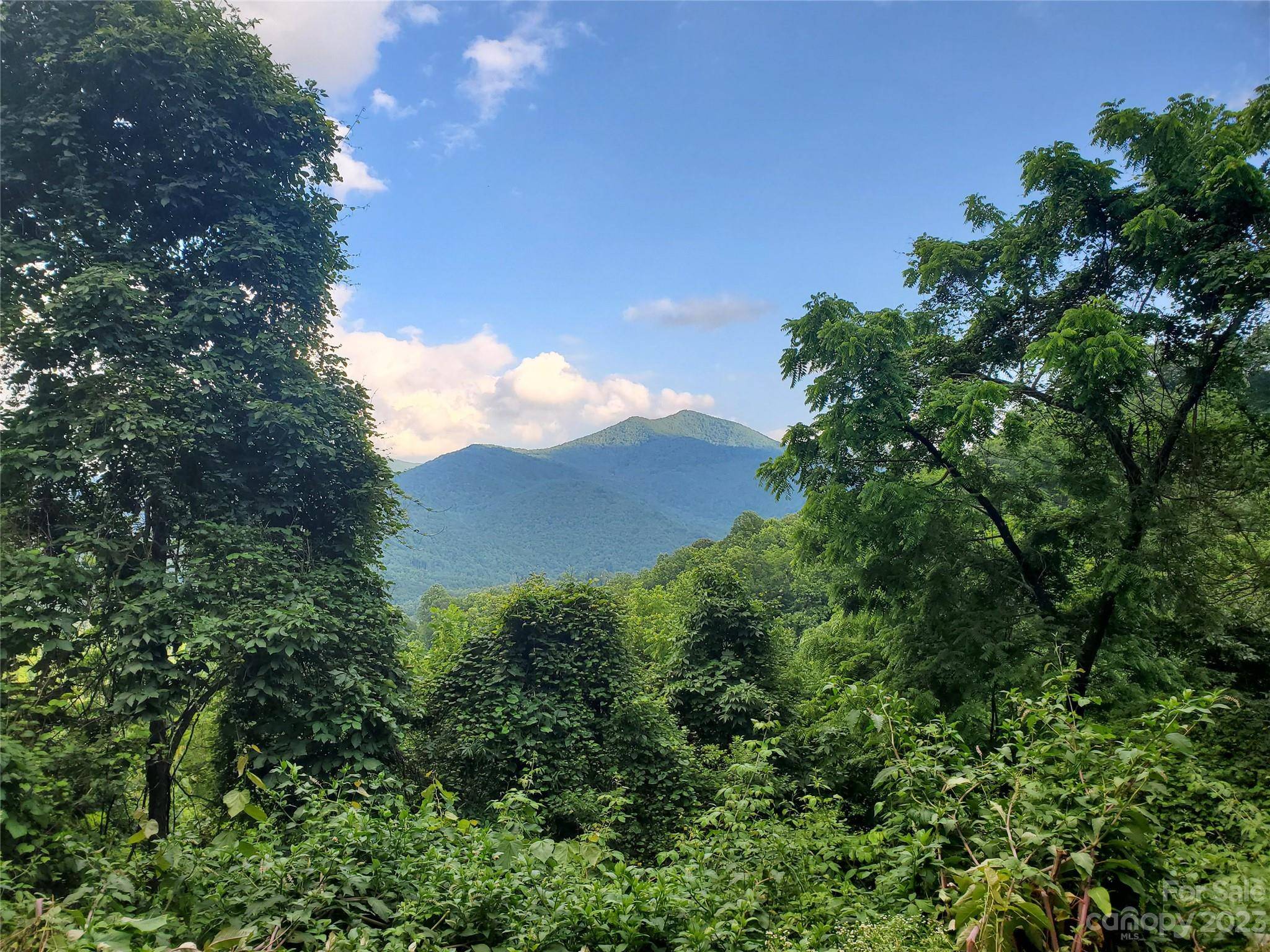 Sylva, NC 28779,000 Althea Ridge RD