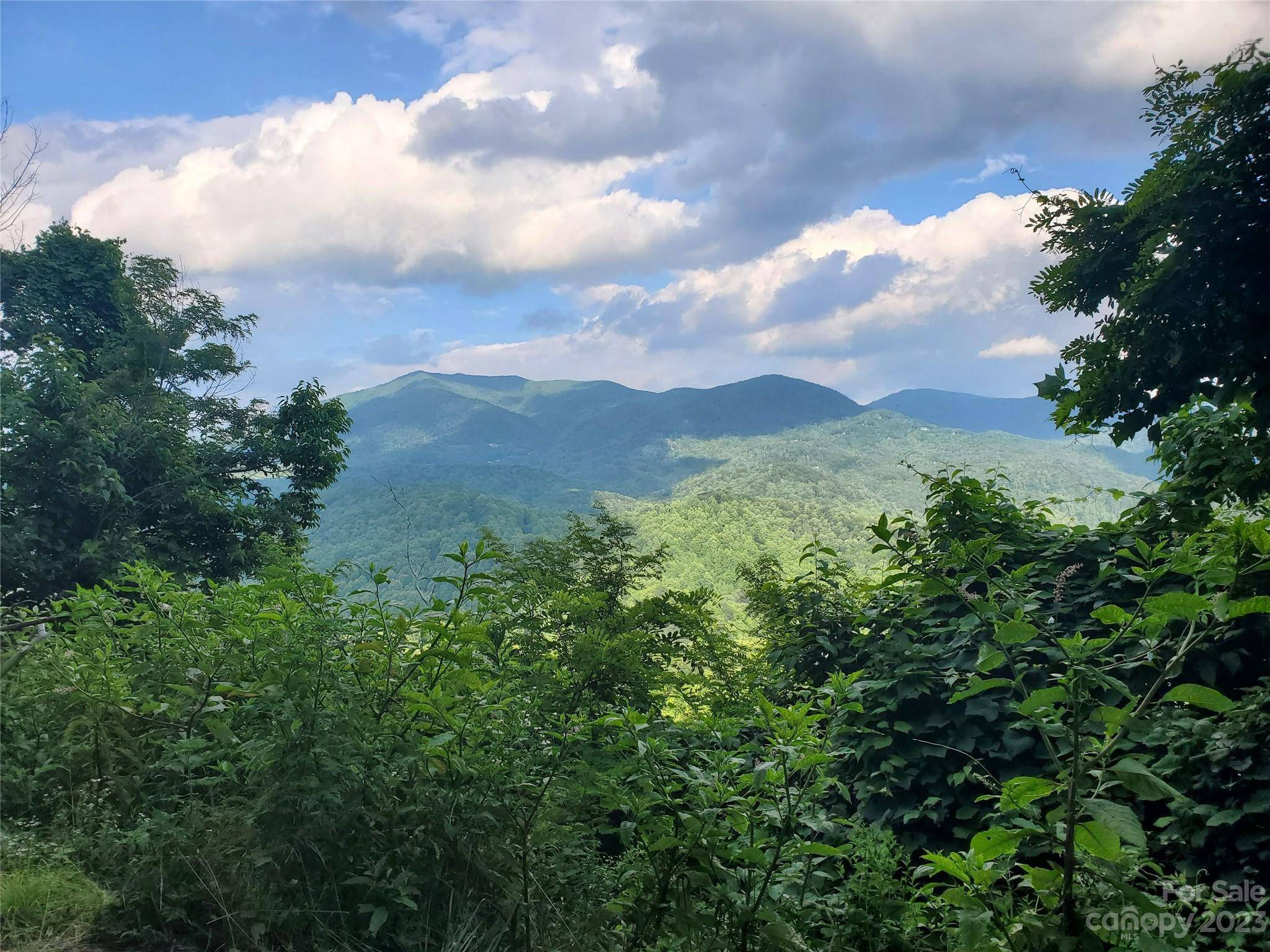 Sylva, NC 28779,000 Althea Ridge RD