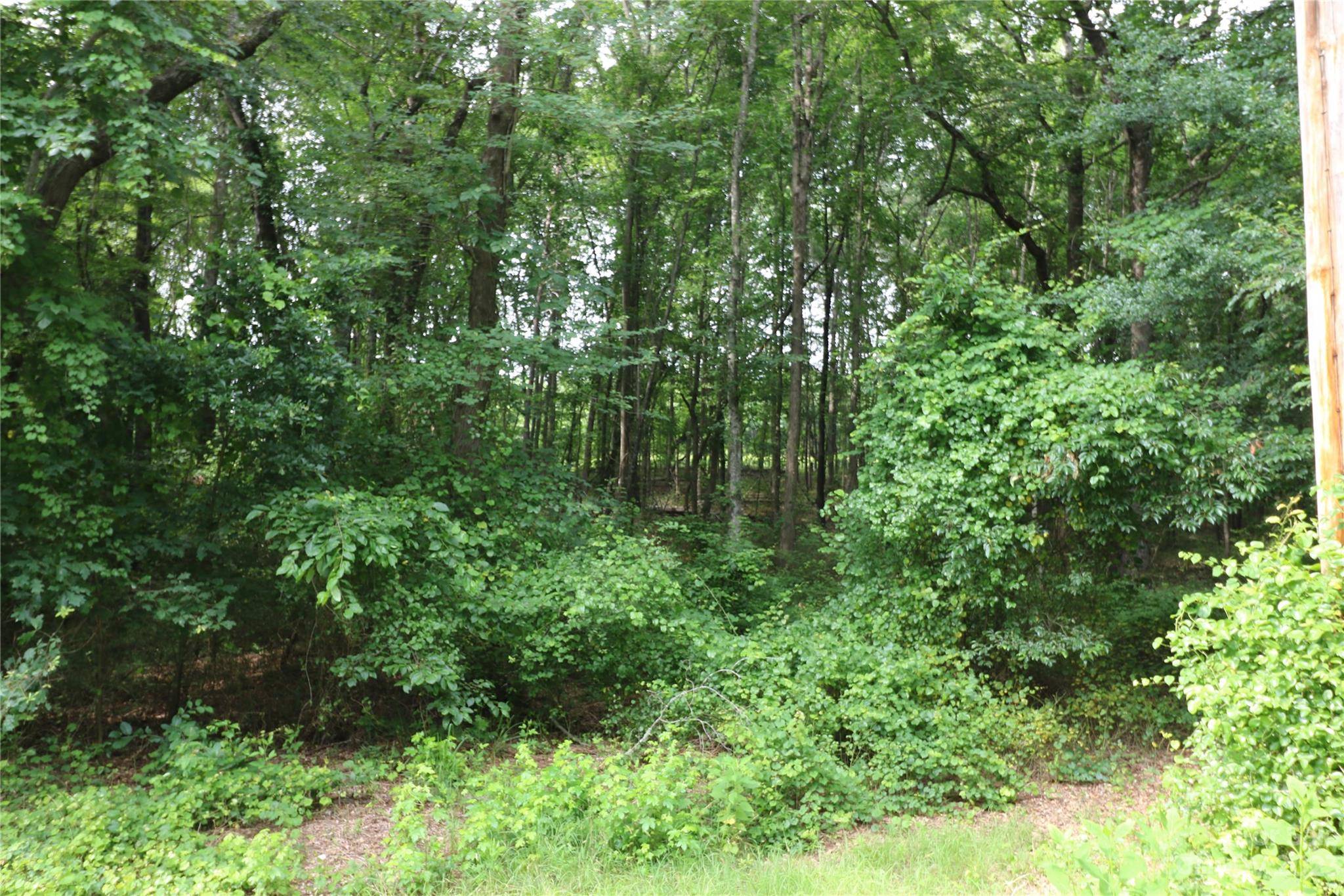 Forest City, NC 28043,Lot 20 Commercial DR