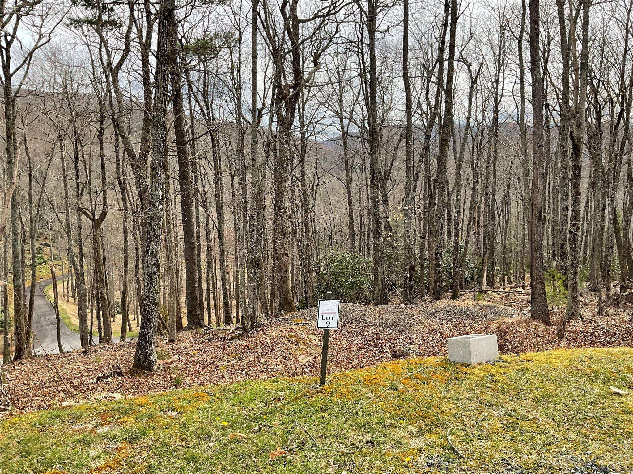 Boone, NC 28605,Lot 9 Sunset Ridge DR #9