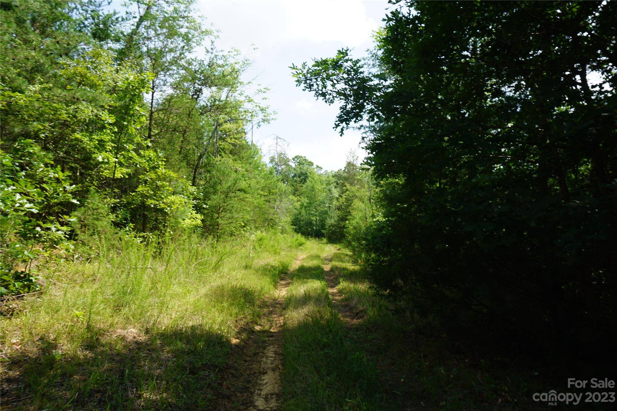 Smyrna, SC 29743,11.5 +/- Acres Mcgill RD