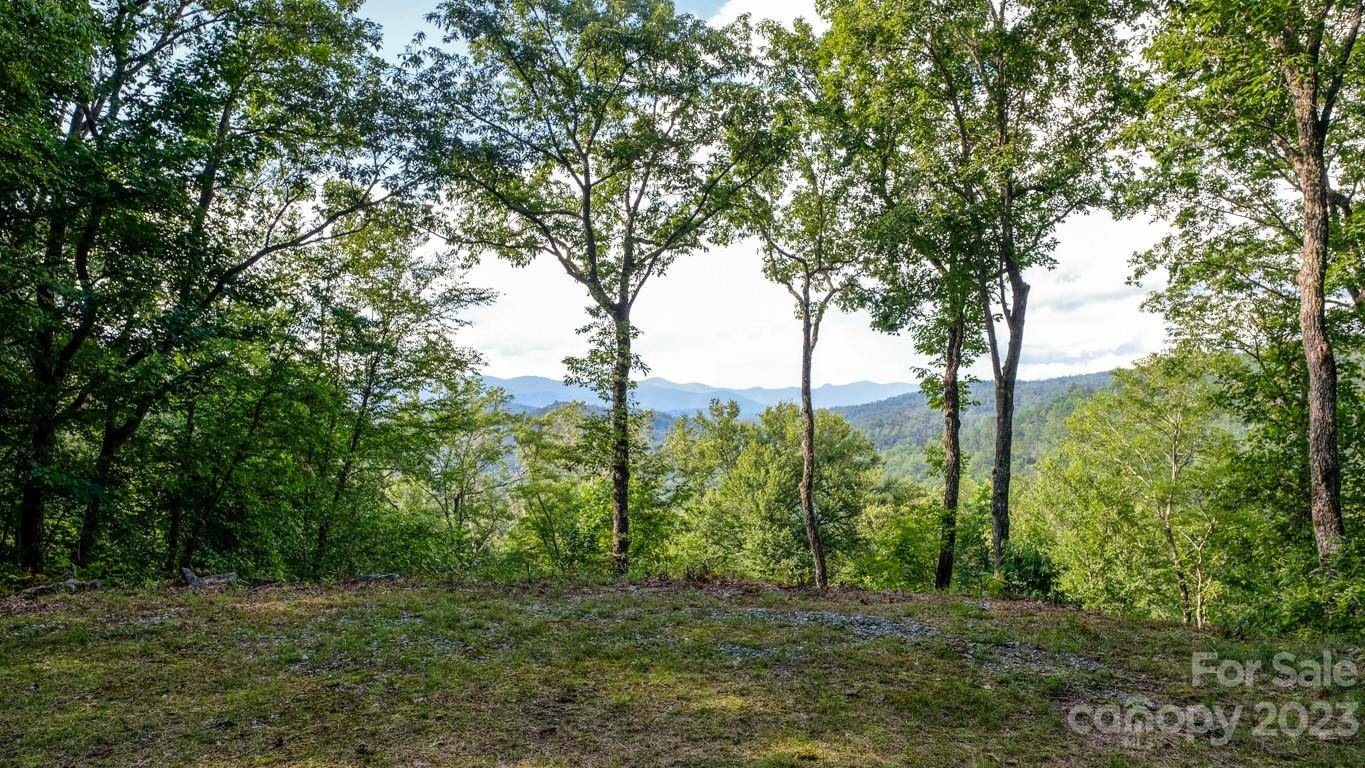 Lake Toxaway, NC 28747,427 Quarry RD #22