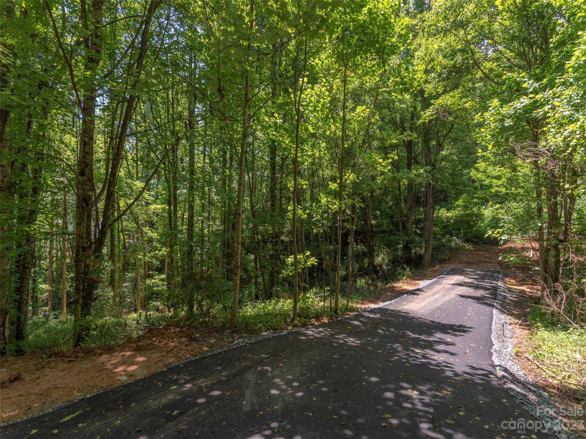 Maggie Valley, NC 28751,00 Yellowwood TRL #C25