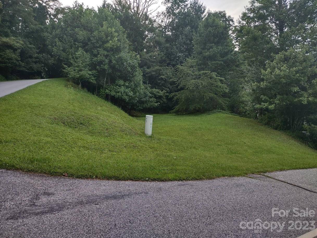 Mills River, NC 28759,70 Wedge Loop CT #62