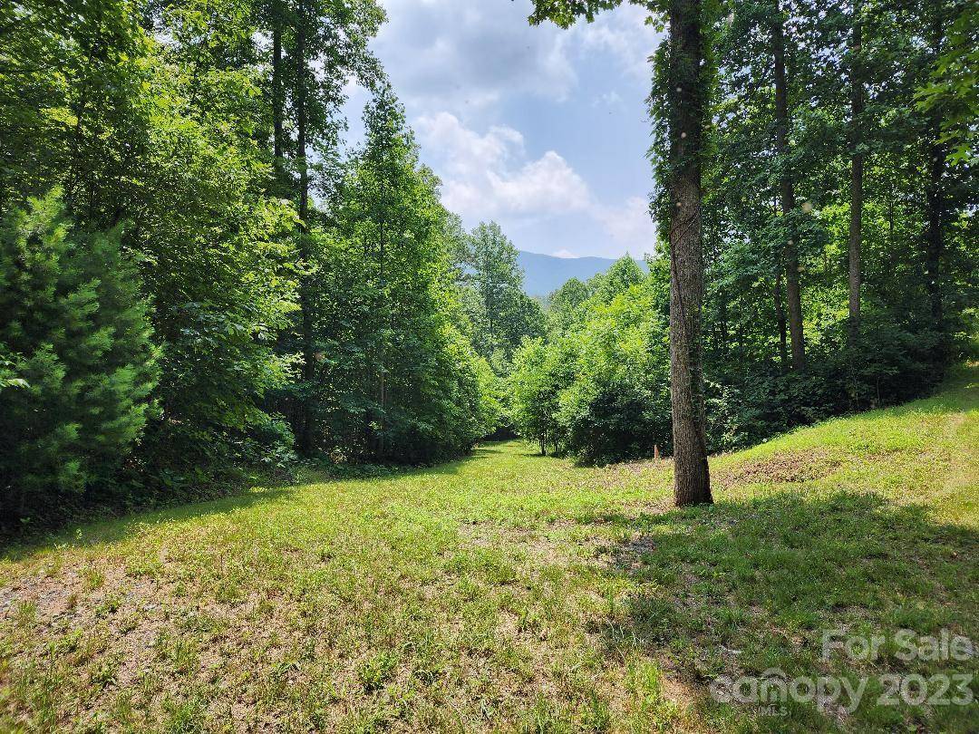 Burnsville, NC 28714,00 Flint Hollow DR