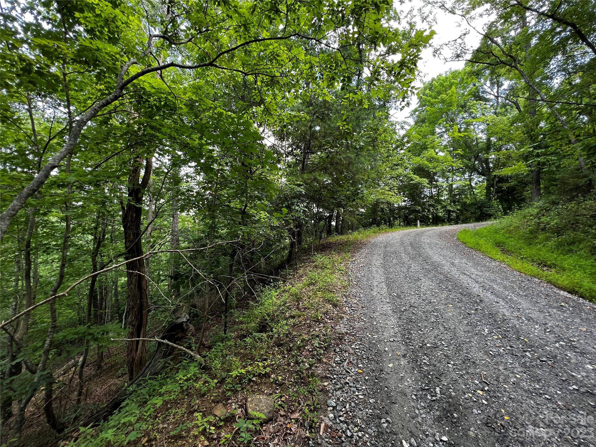 Lake Lure, NC 28746,0 Bills Creek RD