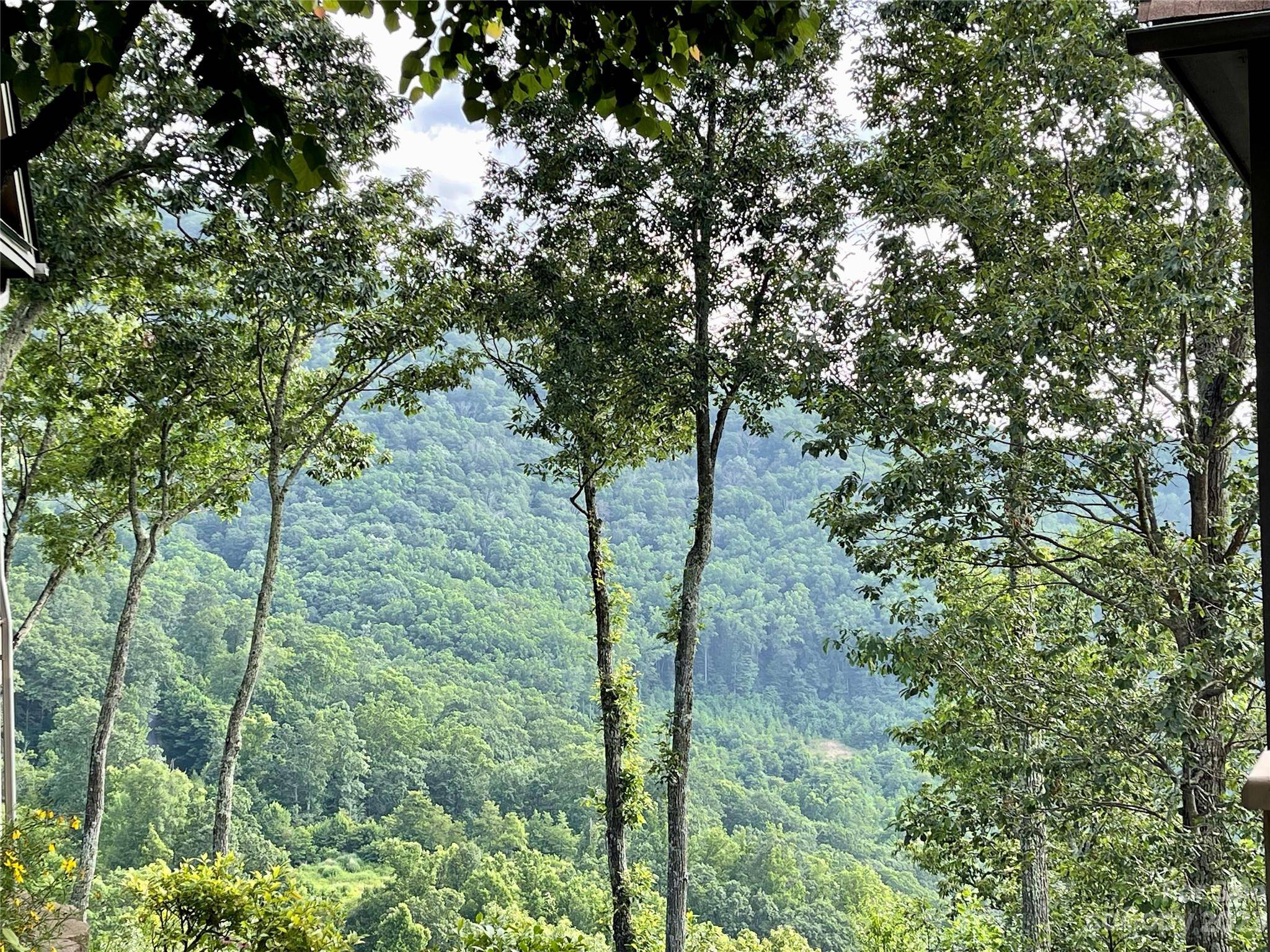 Burnsville, NC 28714,9 Starry Woods LN