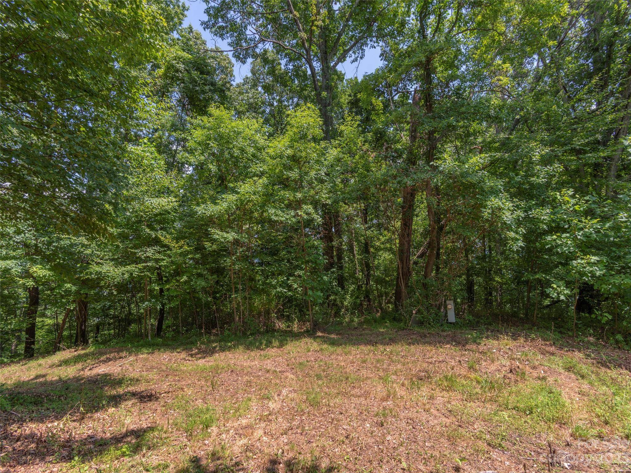 Waynesville, NC 28785,00 Frank Davis RD