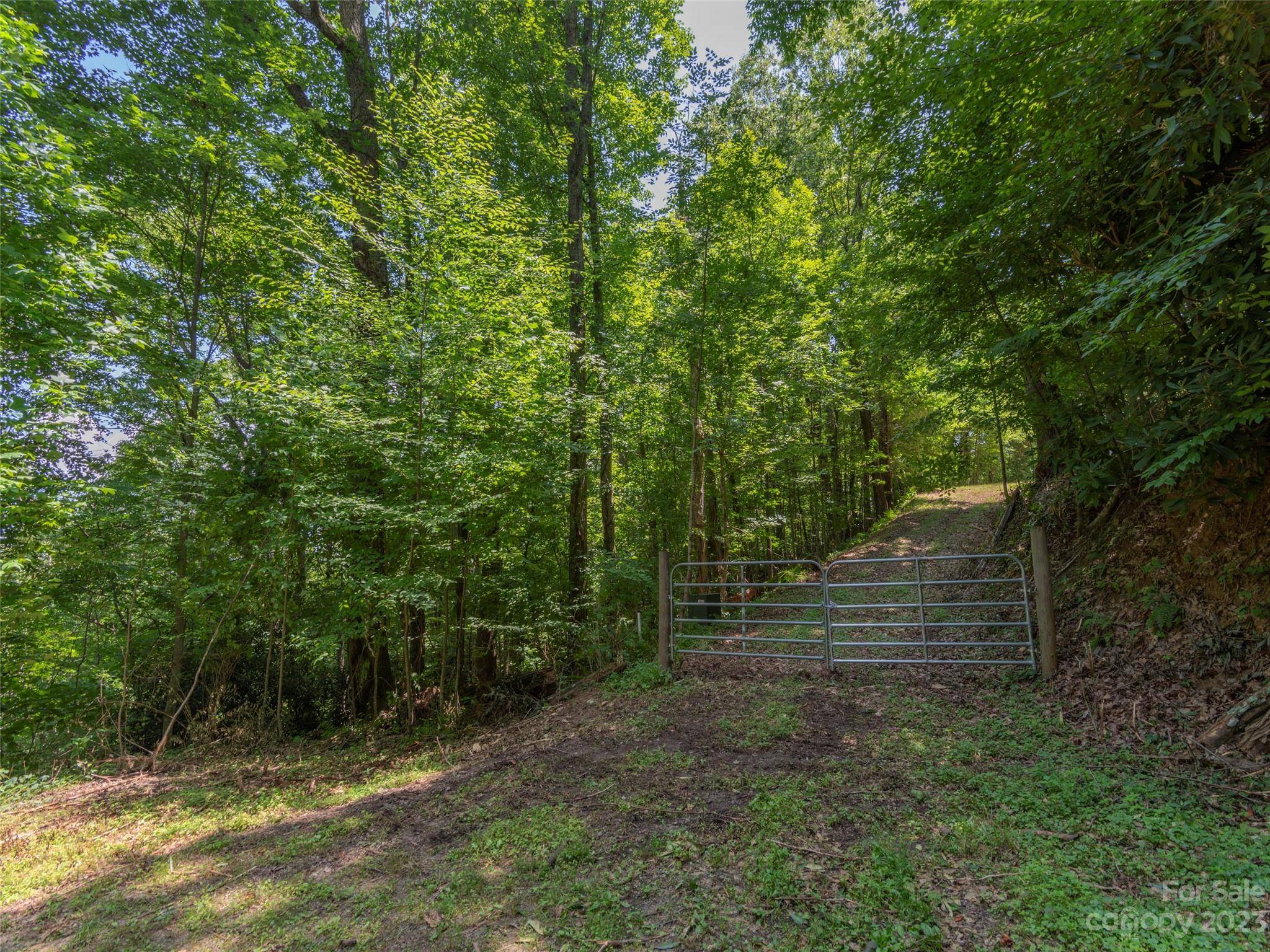 Waynesville, NC 28785,00 Frank Davis RD