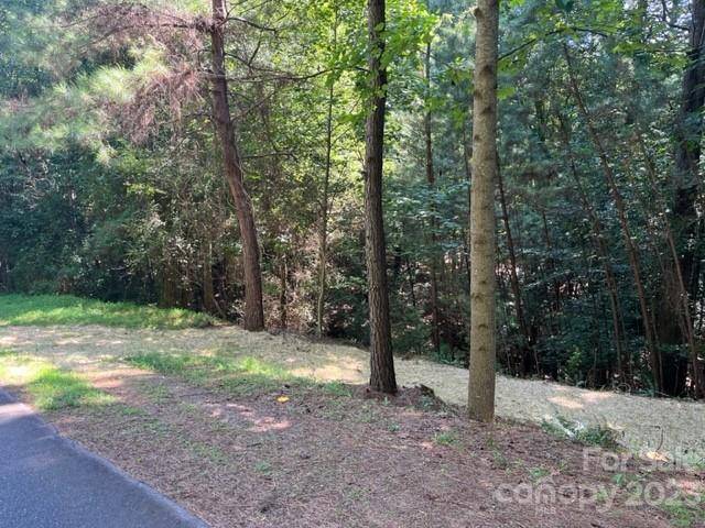 Granite Falls, NC 28630,0000 Long Bay DR