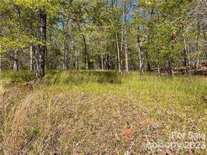 Rutherfordton, NC 28139,0000 Zackary LN ##37