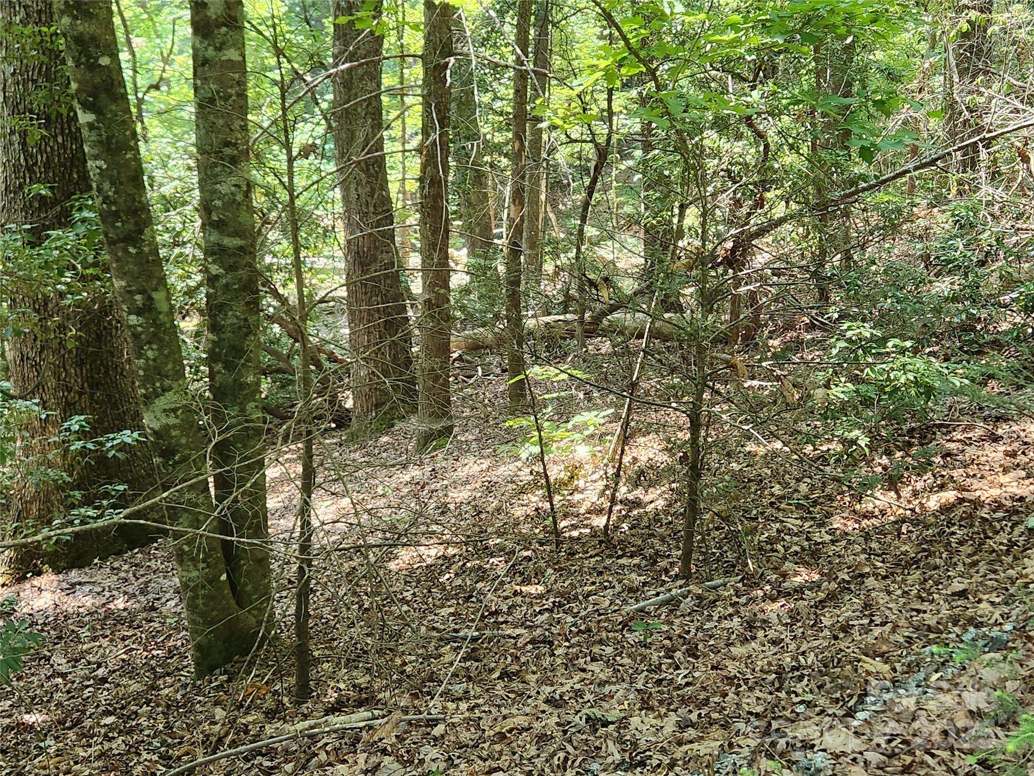 Lake Lure, NC 28746,Lot 185 & 186 Weaver LN
