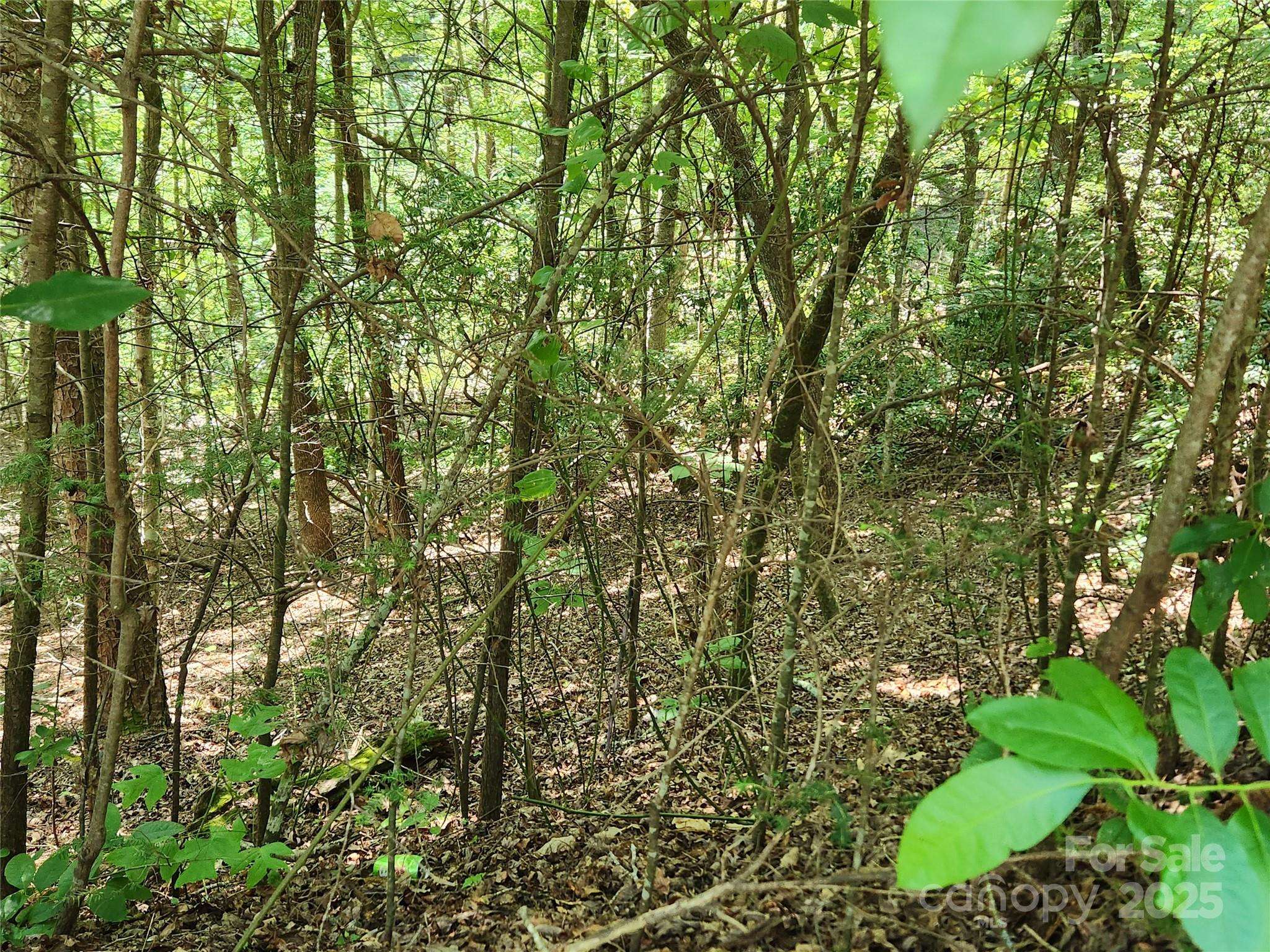 Lake Lure, NC 28746,Lot 185 & 186 Weaver LN