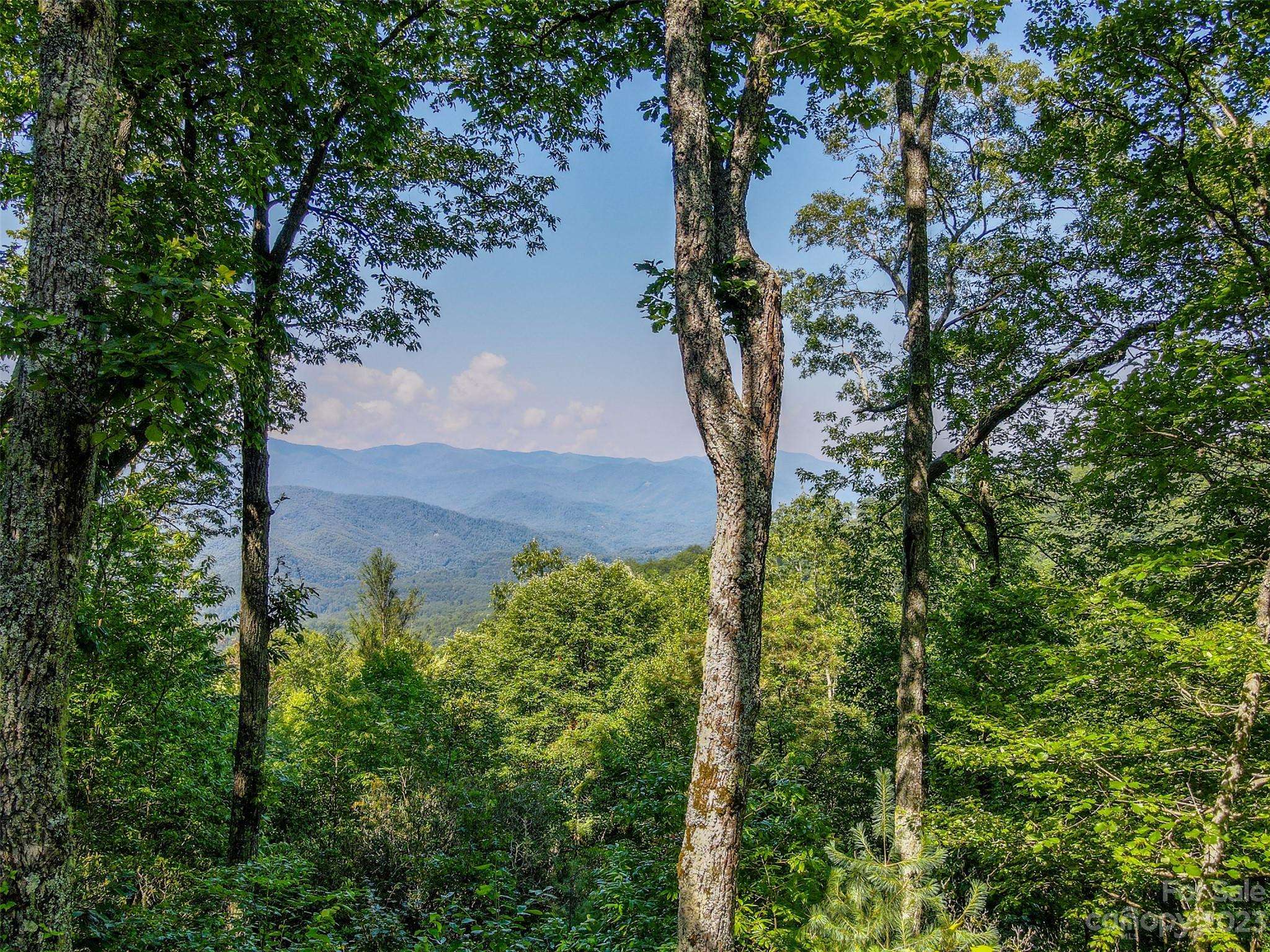 Sylva, NC 28779,47 Bear Claw TRL