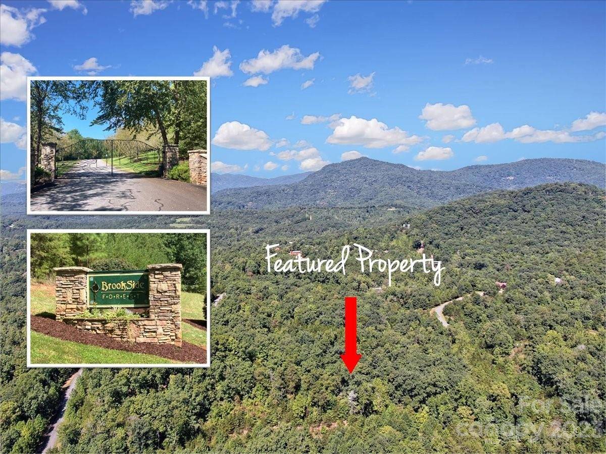 Lake Lure, NC 28746,TBD Brookside Pkwy #40