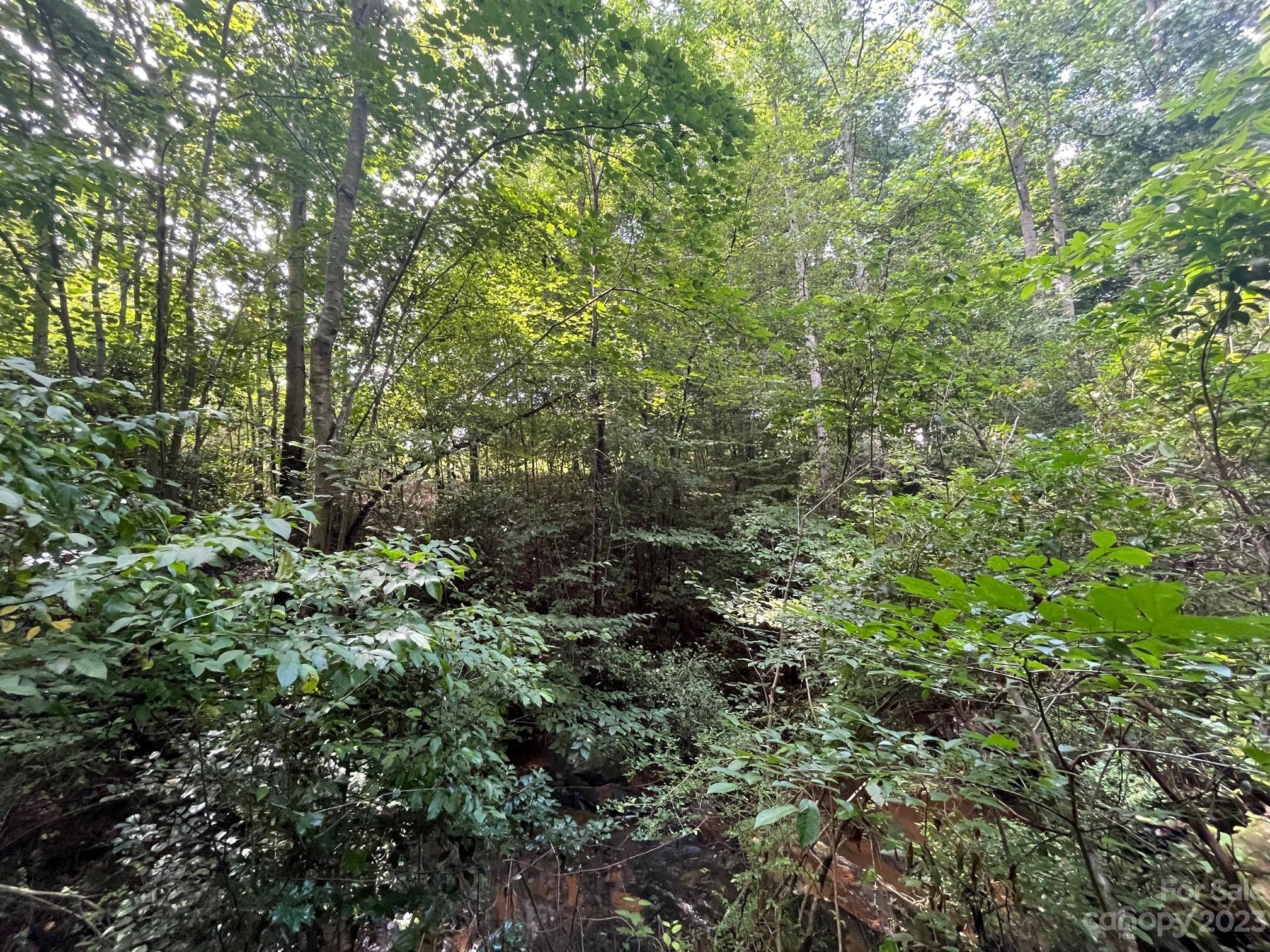 Hickory, NC 28601,3055 44th Ave DR NE #Lot 4