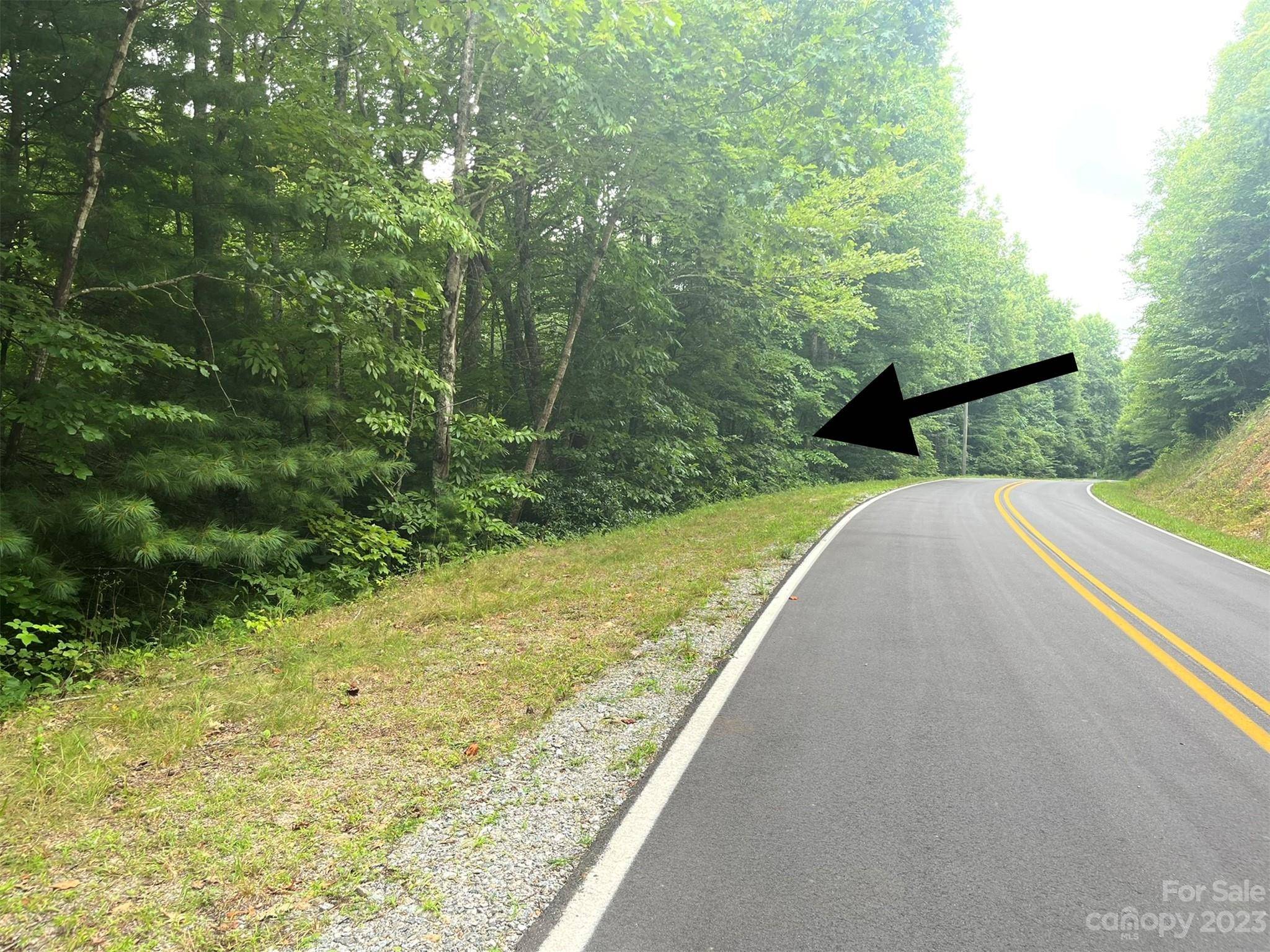 Saluda, NC 28773,Lot 1 Trammel Gap RD #Lot 1