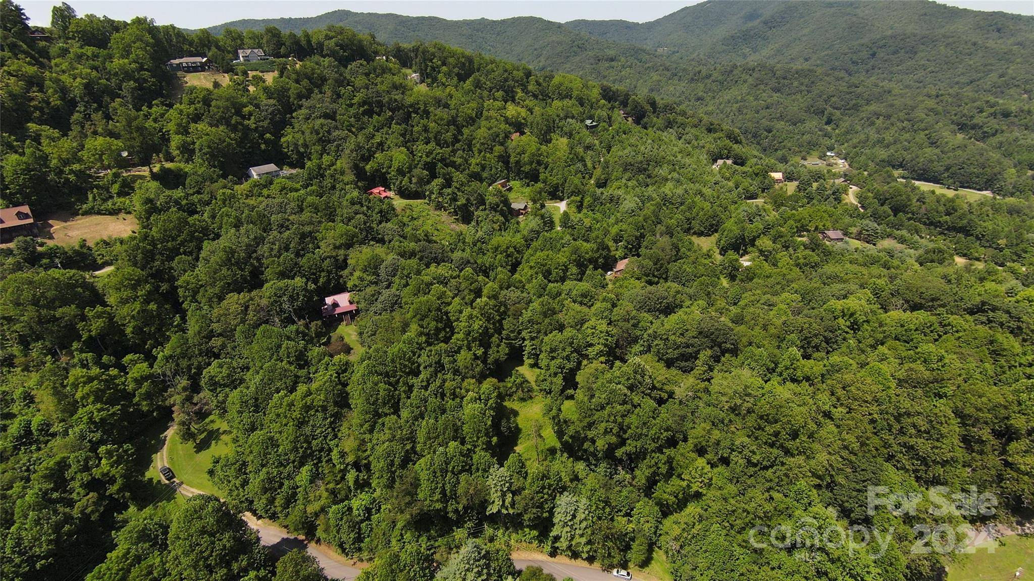 Waynesville, NC 28785,9 Point Of View DR #9