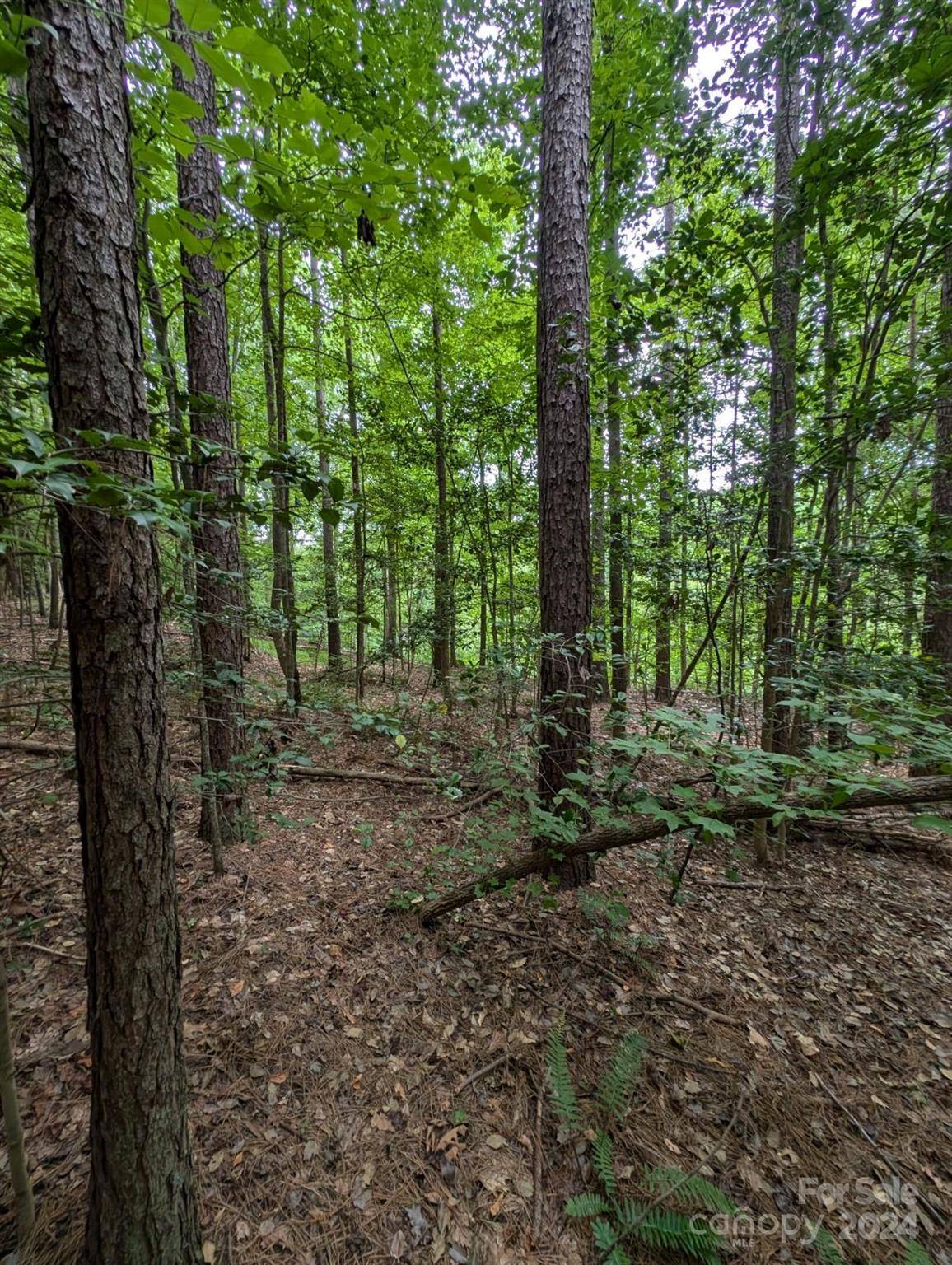 Denver, NC 28037,00 Tallwood DR ##34A
