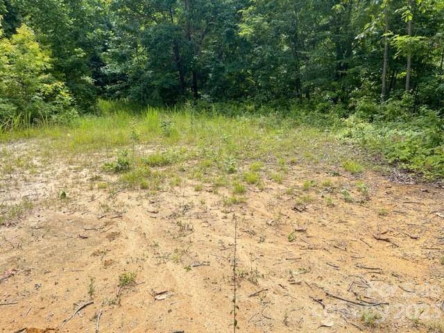 Bryson City, NC 28713,Lot 63 Falls RD