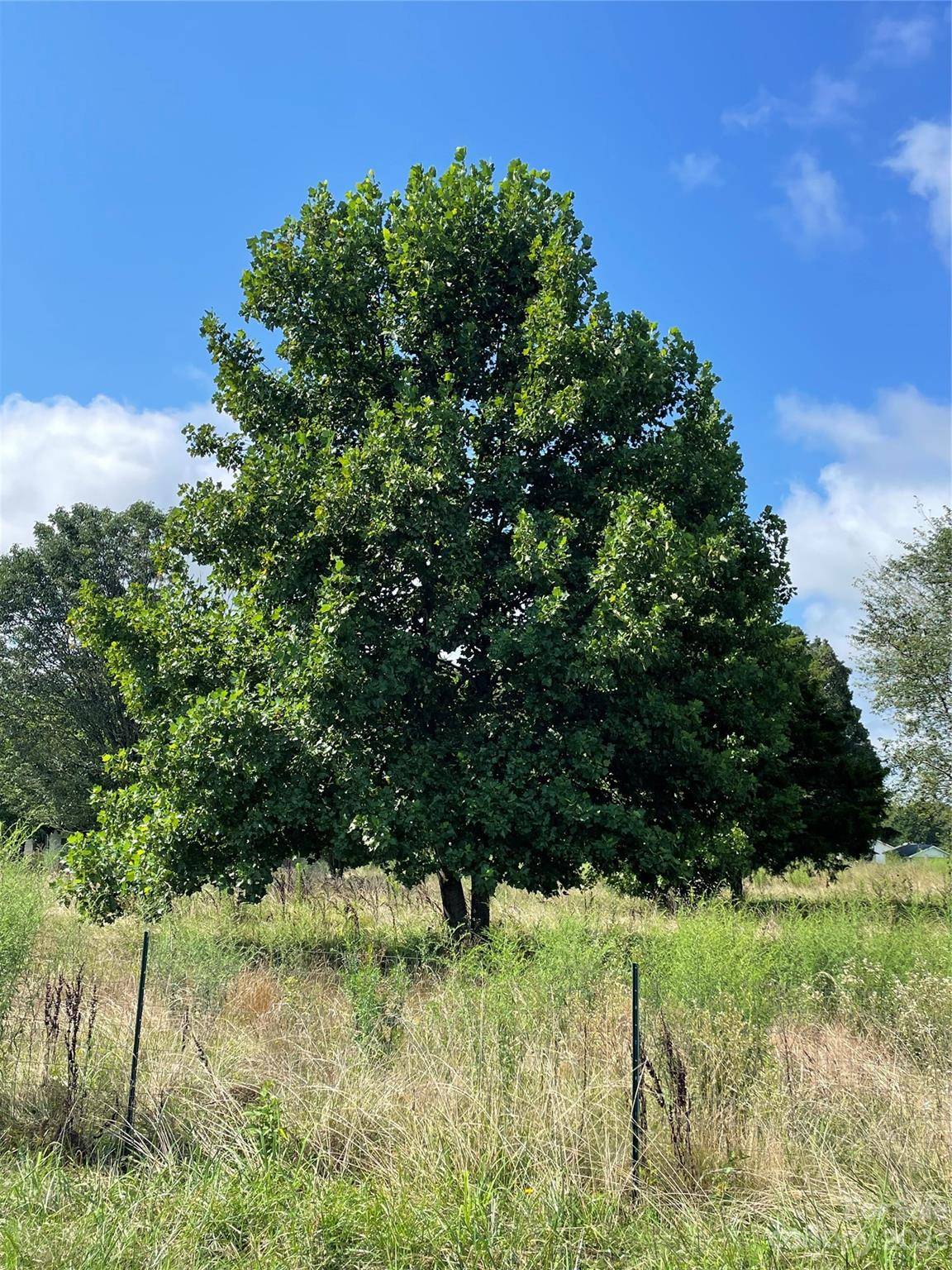 Connelly Springs, NC 28612,6636 Prysock AVE