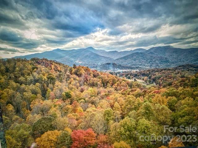 Waynesville, NC 28786,7 Cliff LN #17