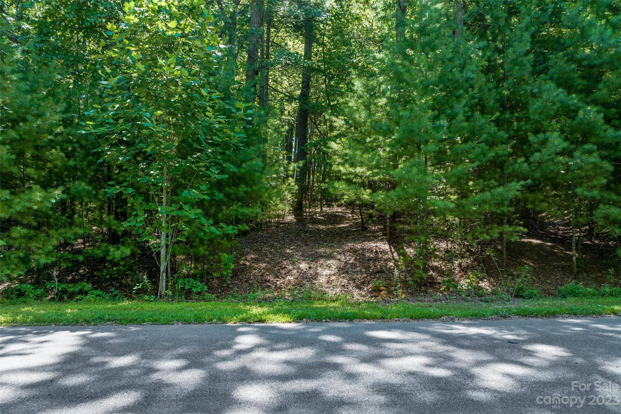 Biltmore Forest, NC 28803,99999 Cedar Hill DR #28