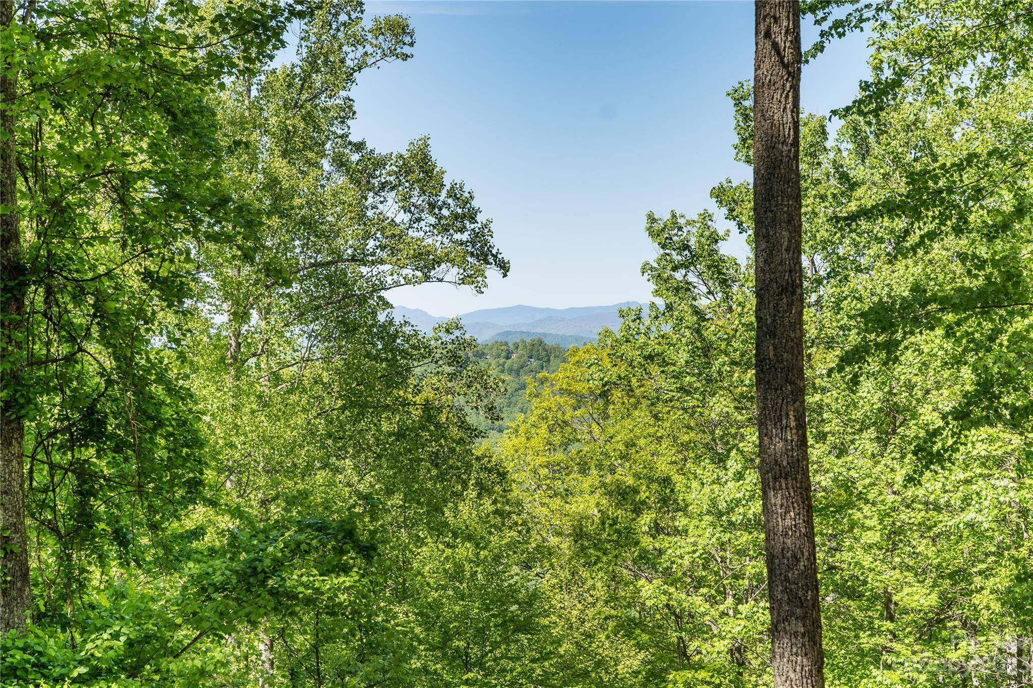 Hendersonville, NC 28739,1356 Davis Mountain RD