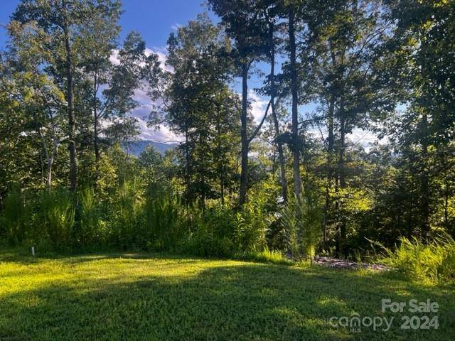 Mill Spring, NC 28756,23 Mountain Pkwy